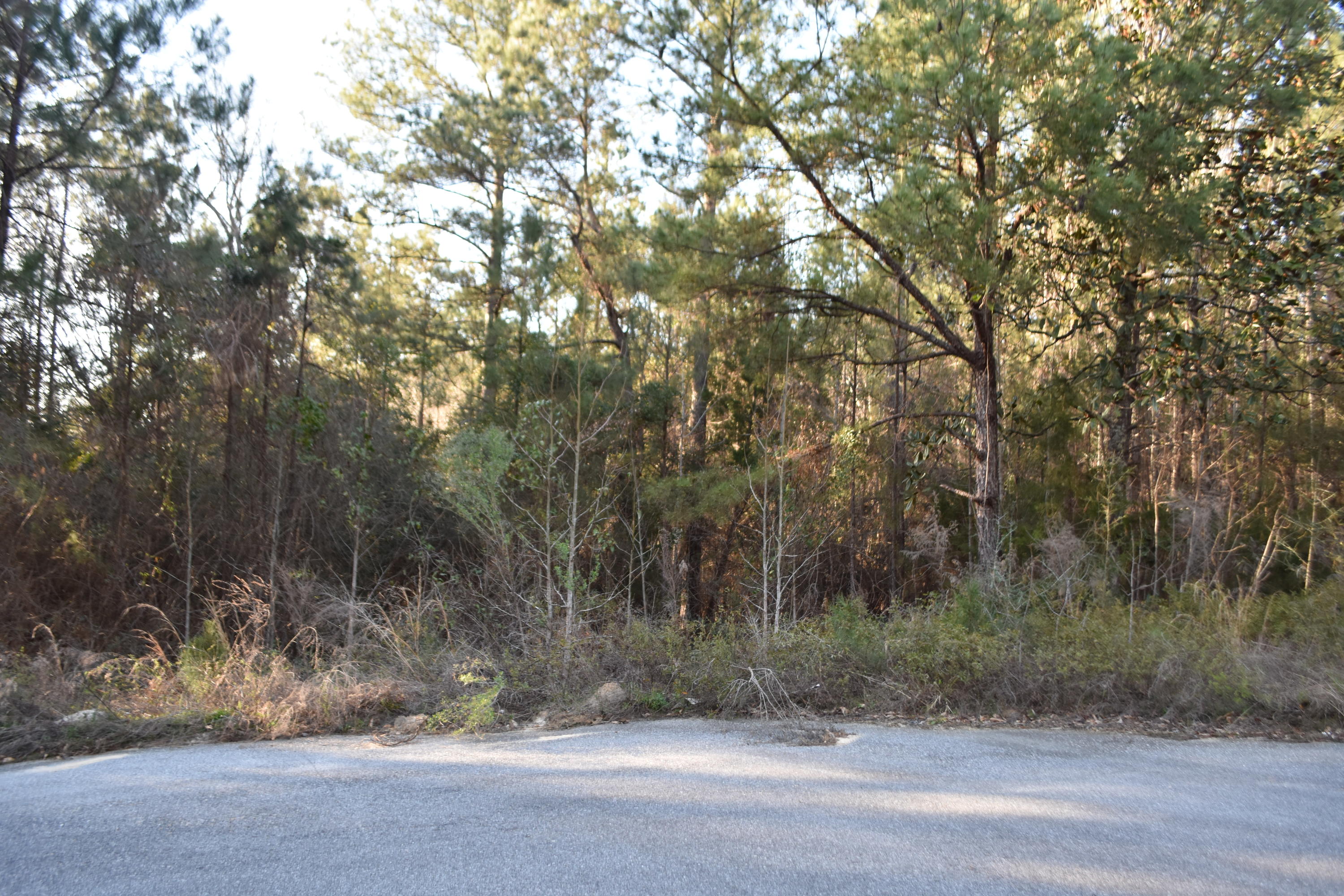 Pleasant Ridge Estates, Unrec - Land