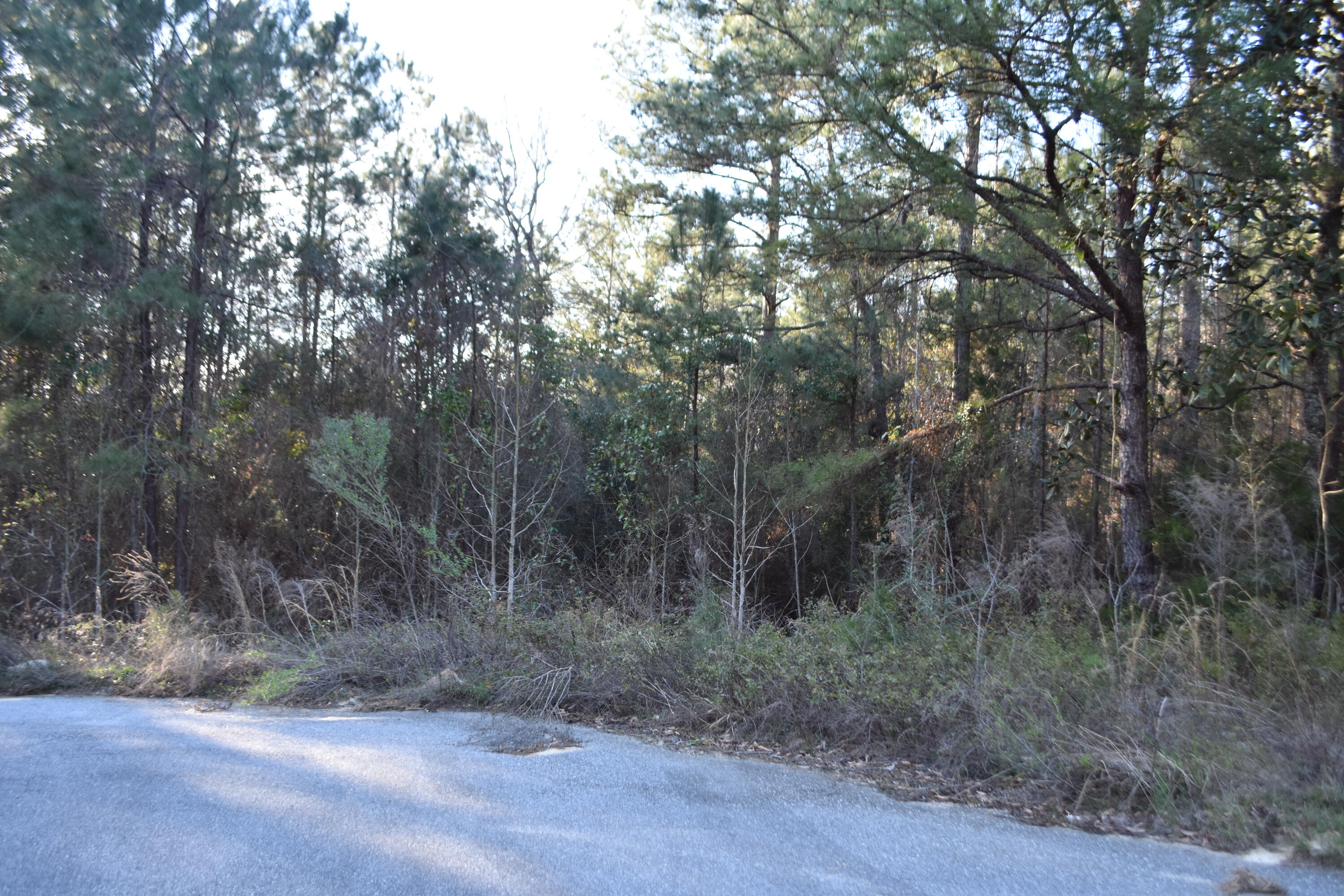 Pleasant Ridge Estates, Unrec - Land