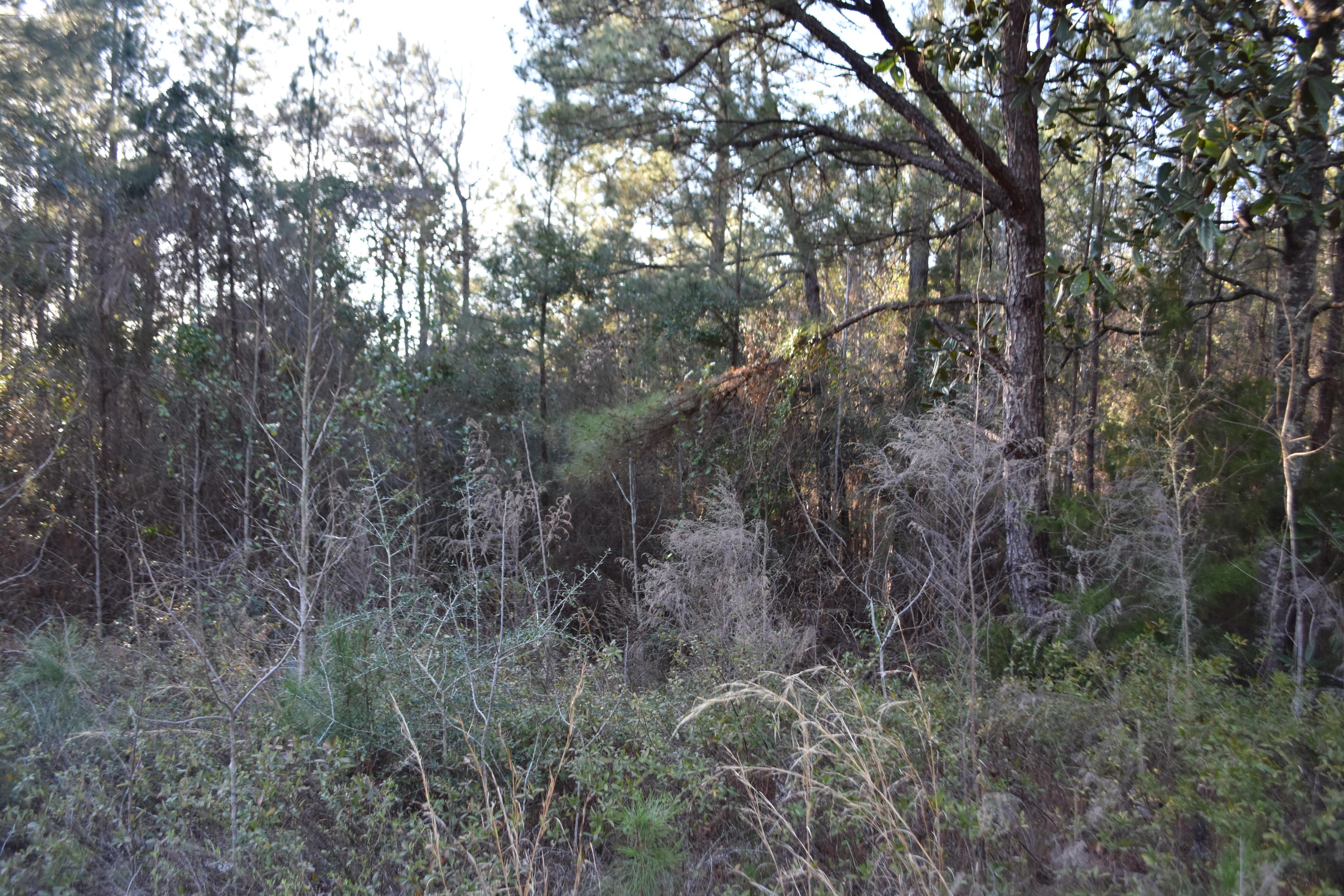 Pleasant Ridge Estates, Unrec - Land
