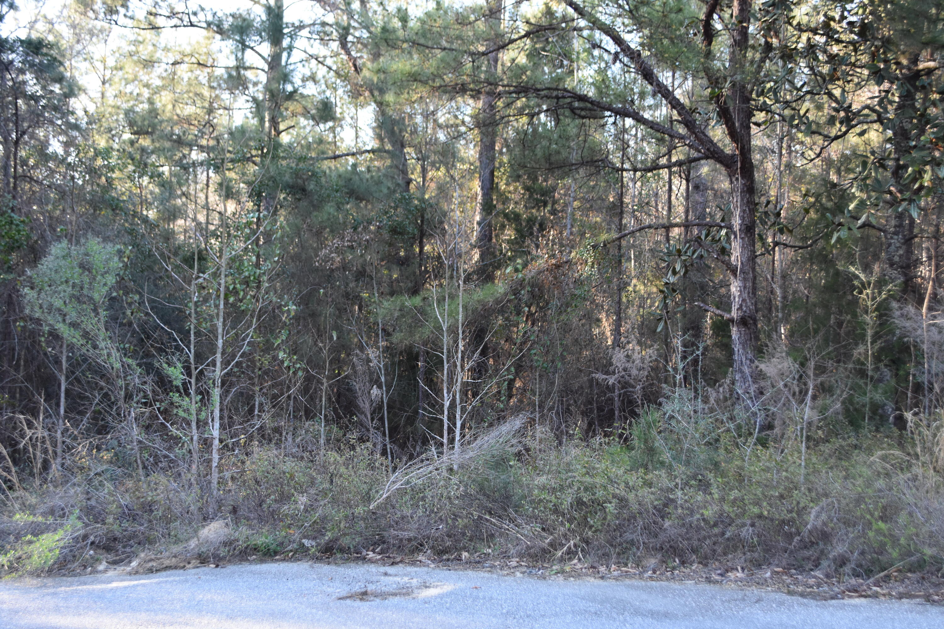 Pleasant Ridge Estates, Unrec - Land