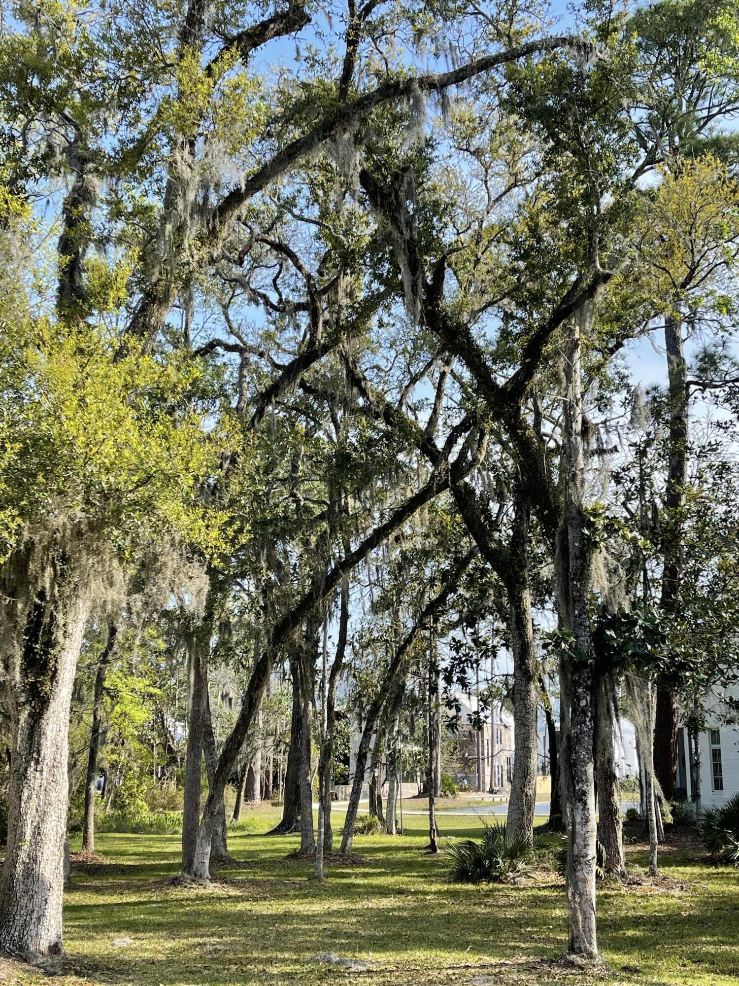 CHURCHILL OAKS - Land