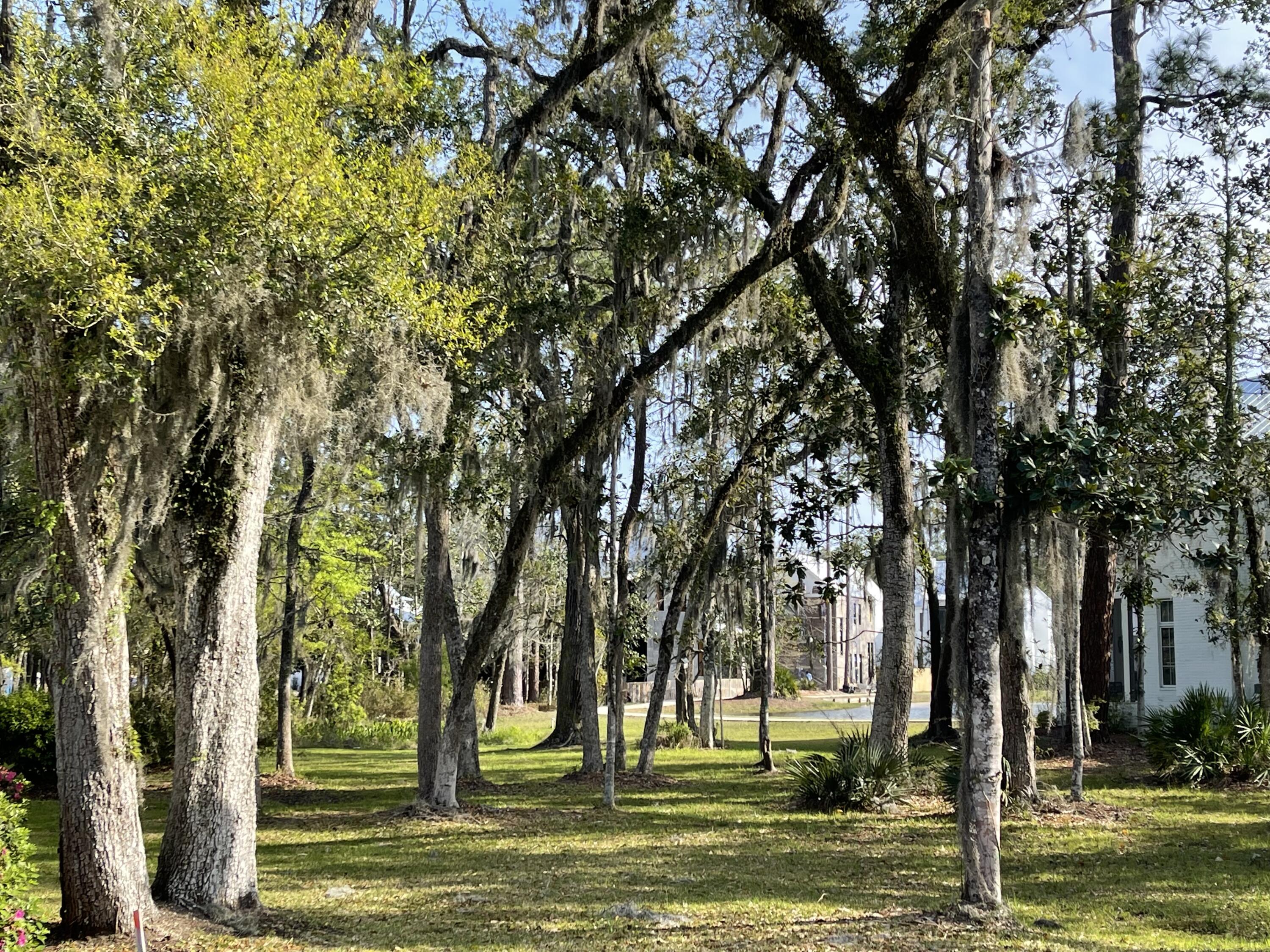 CHURCHILL OAKS - Land