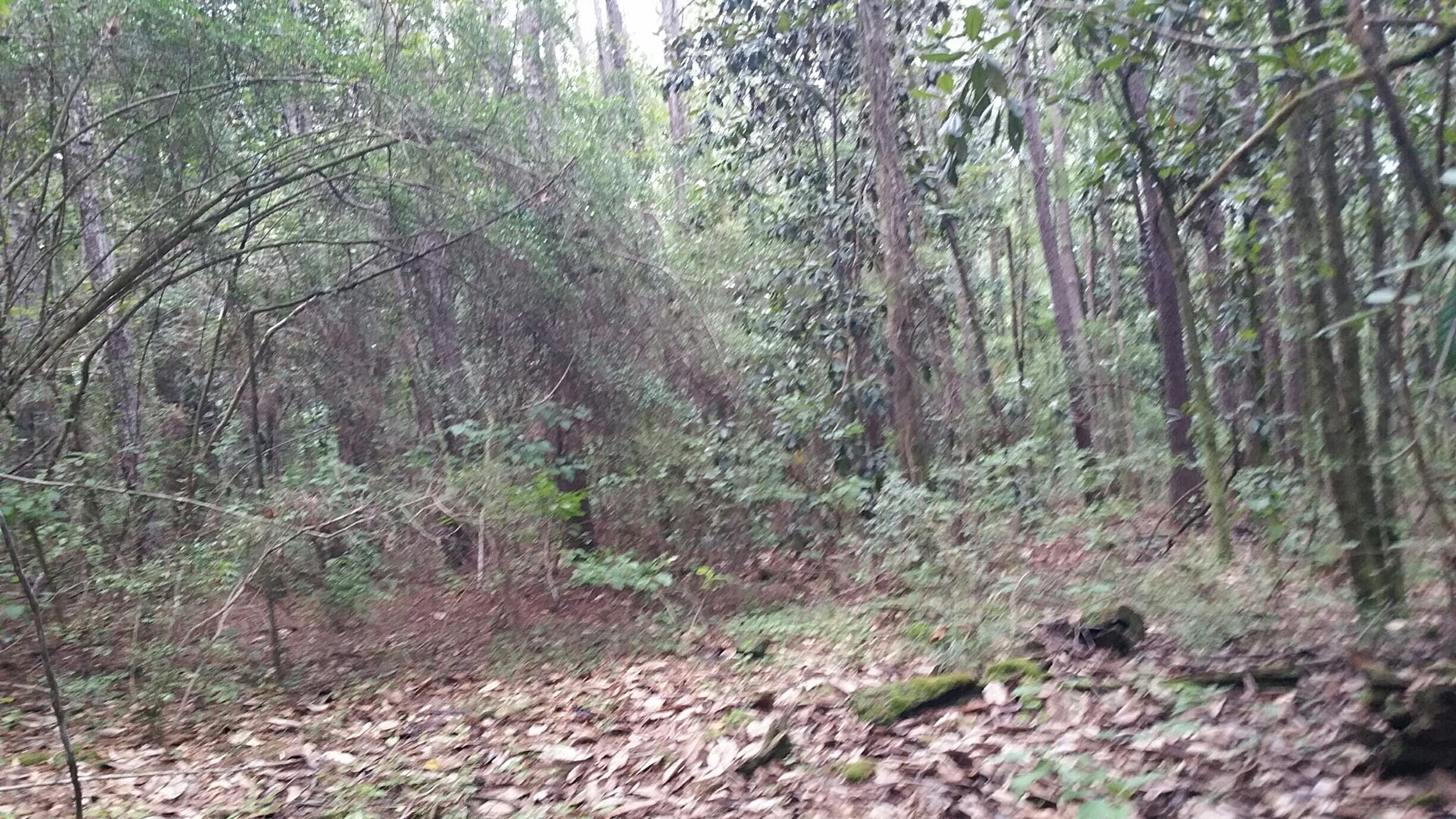 None - Land