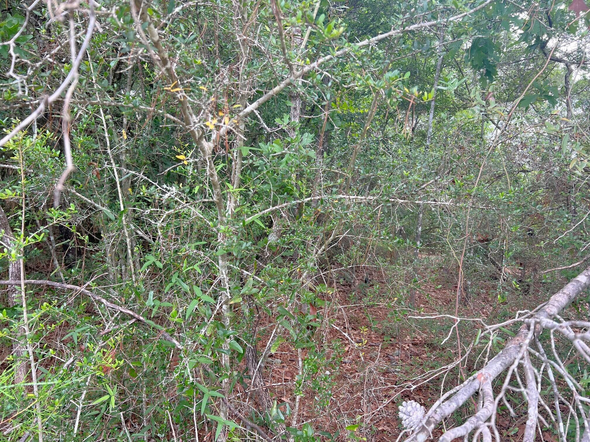 OAKWOOD HILLS UNIT 3 - Land