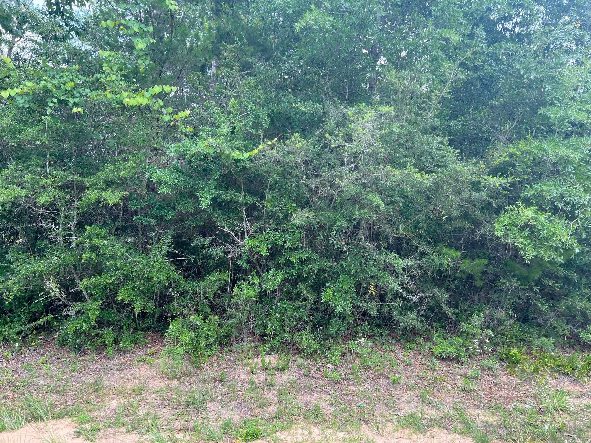 OAKWOOD HILLS UNIT 3 - Land