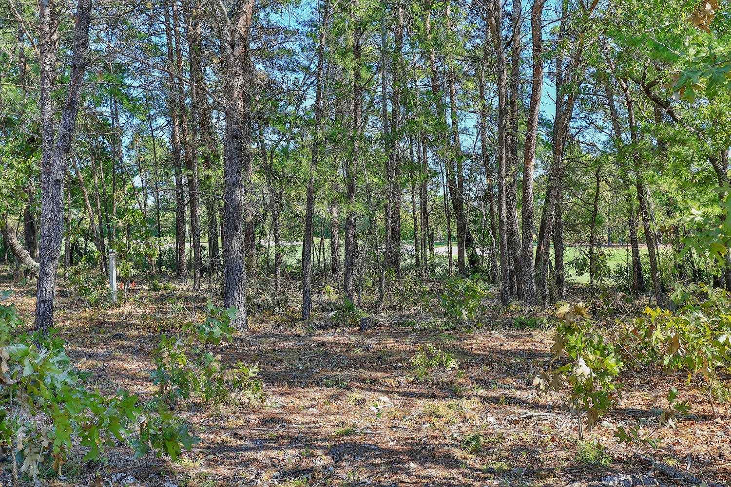 WILD HERON PHASE III - Residential