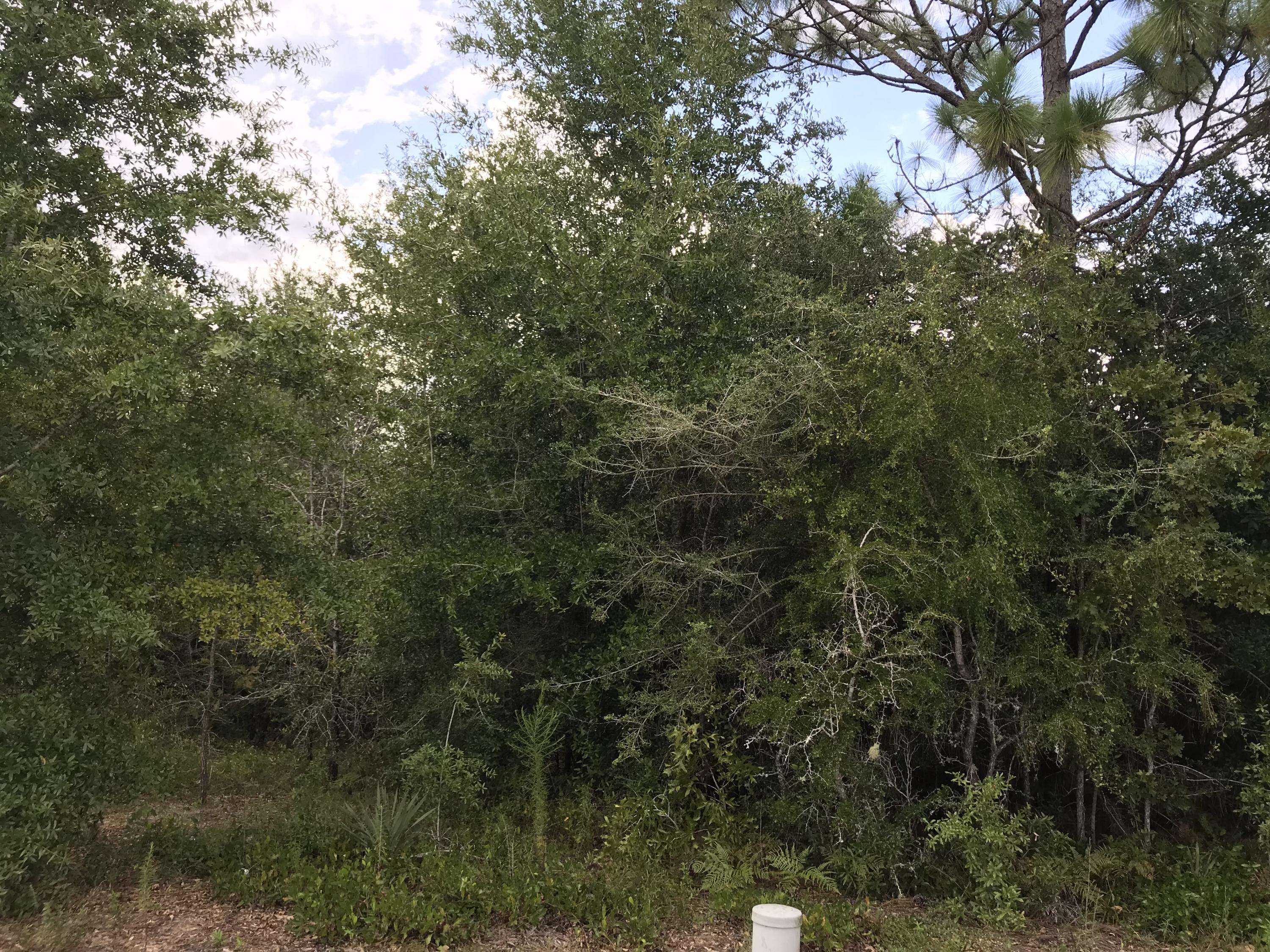 LAKE ARTHUR ESTATES - Land