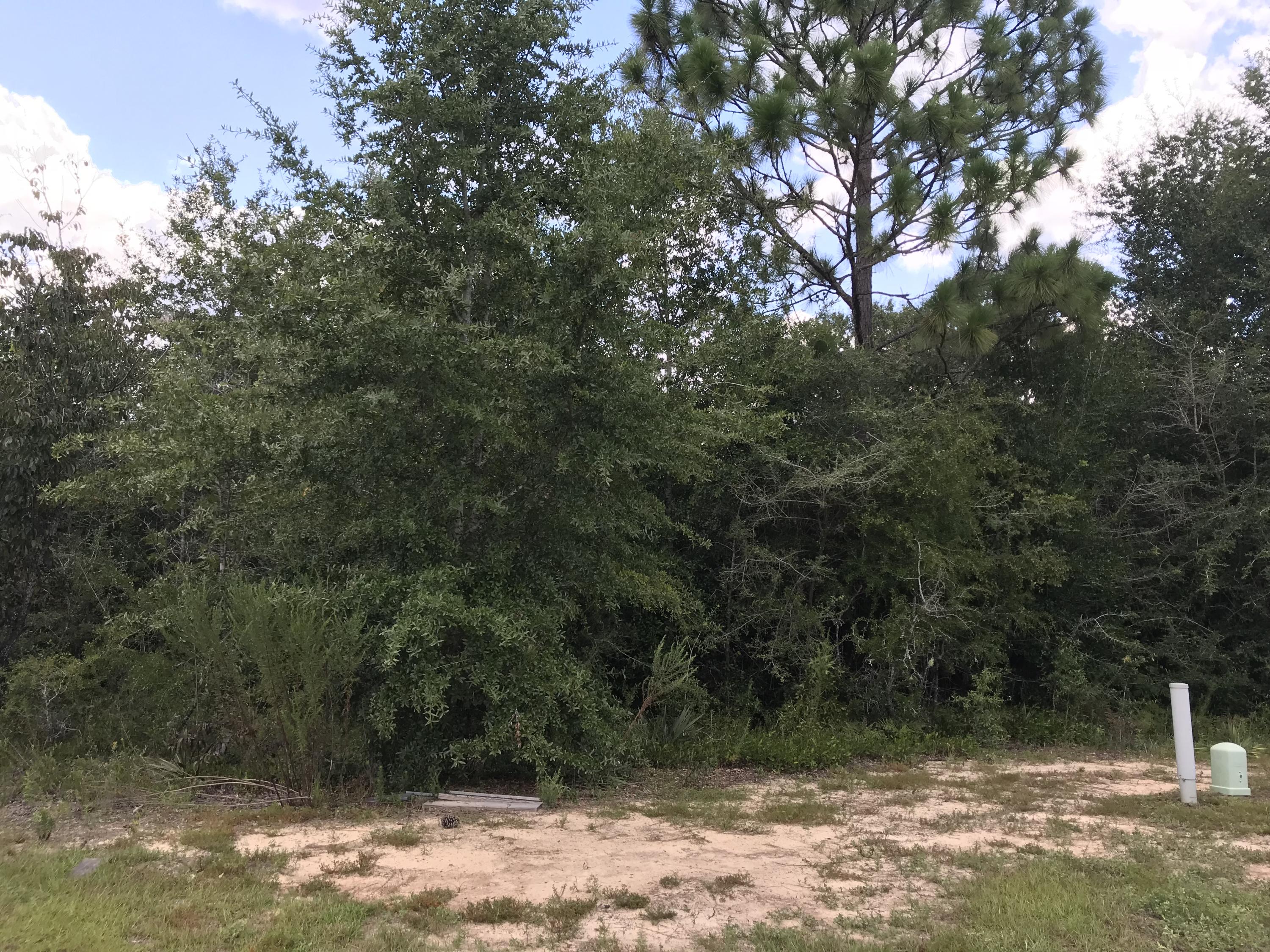 LAKE ARTHUR ESTATES - Land