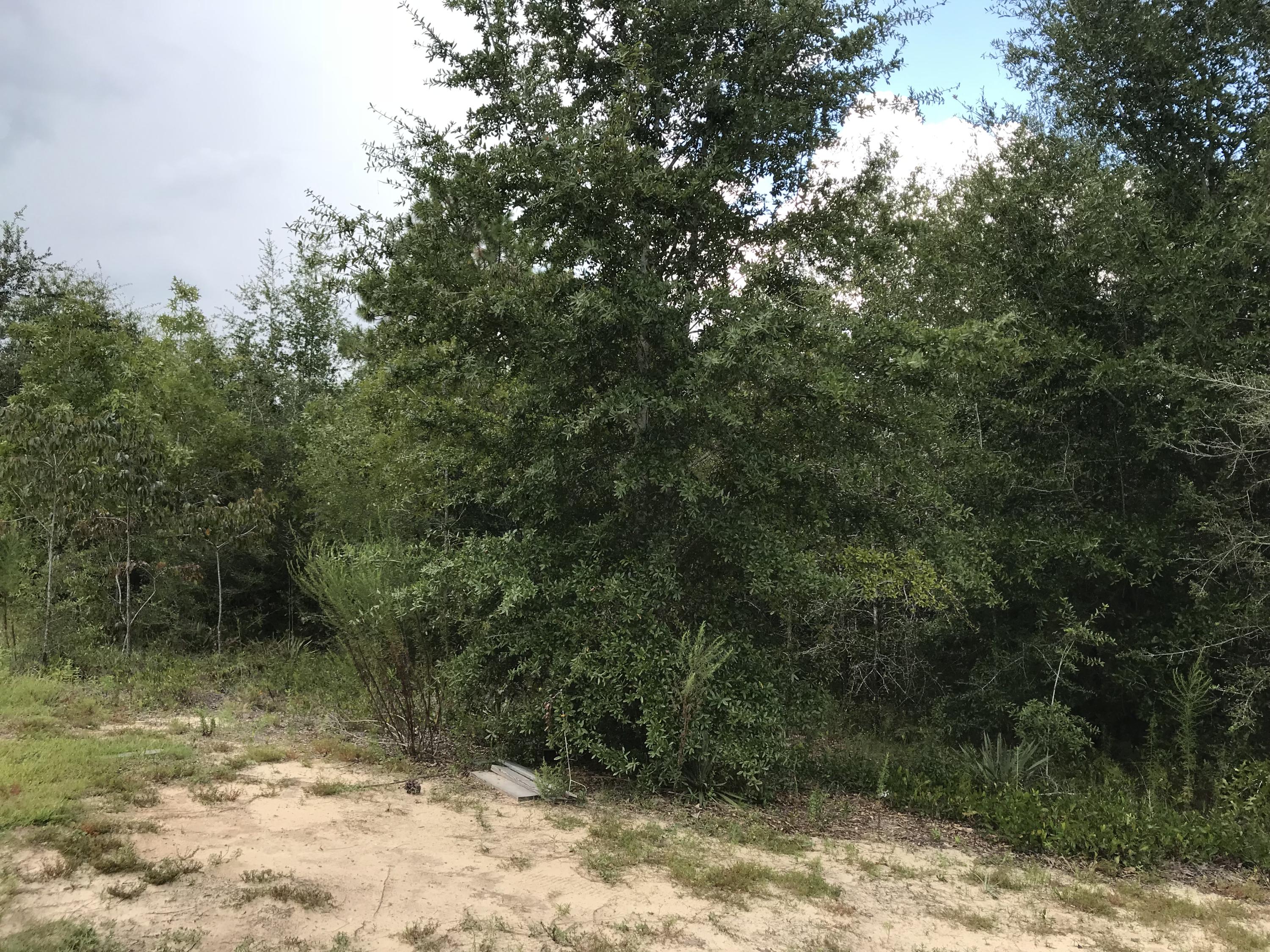 LAKE ARTHUR ESTATES - Land
