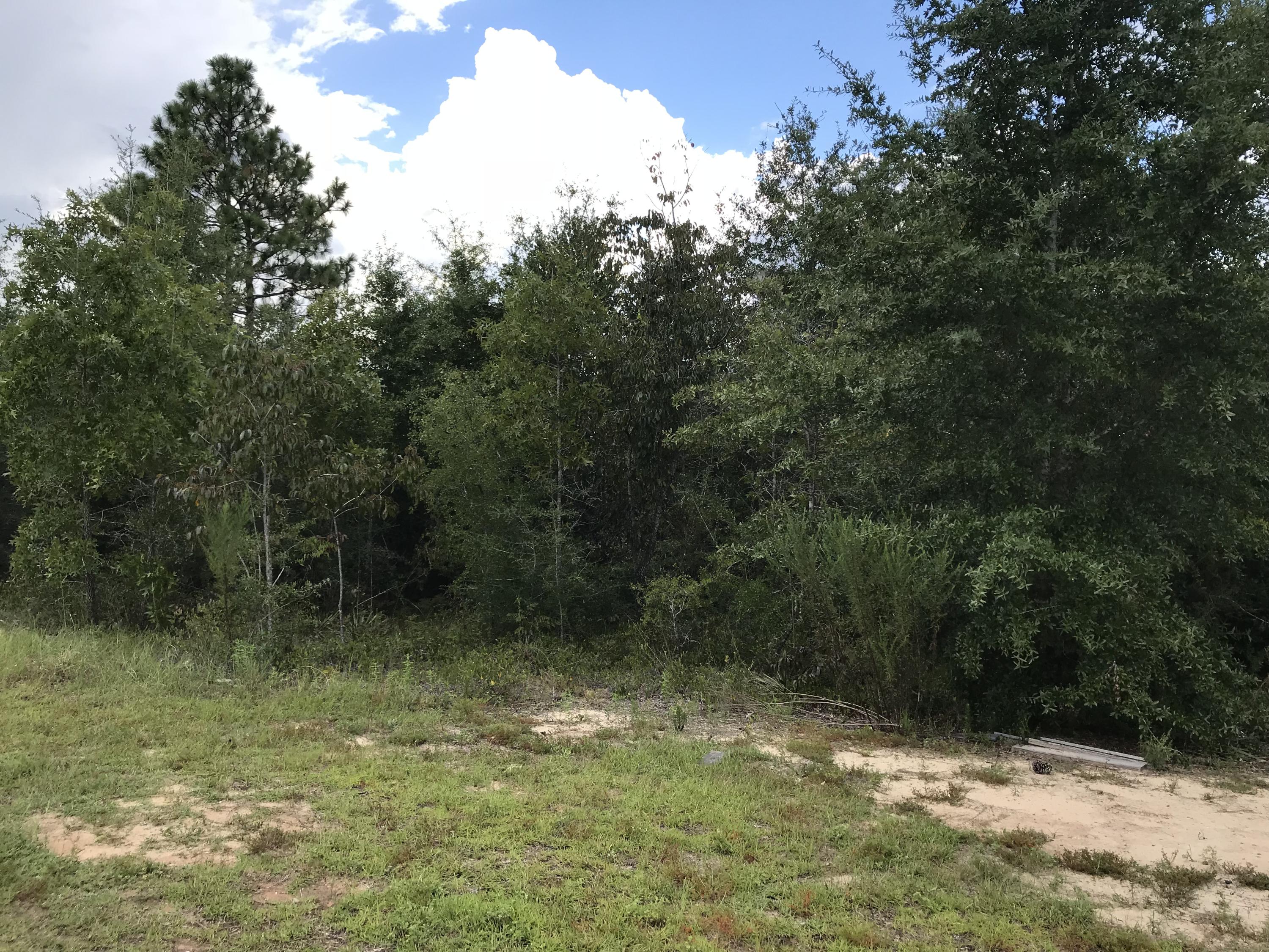 LAKE ARTHUR ESTATES - Land