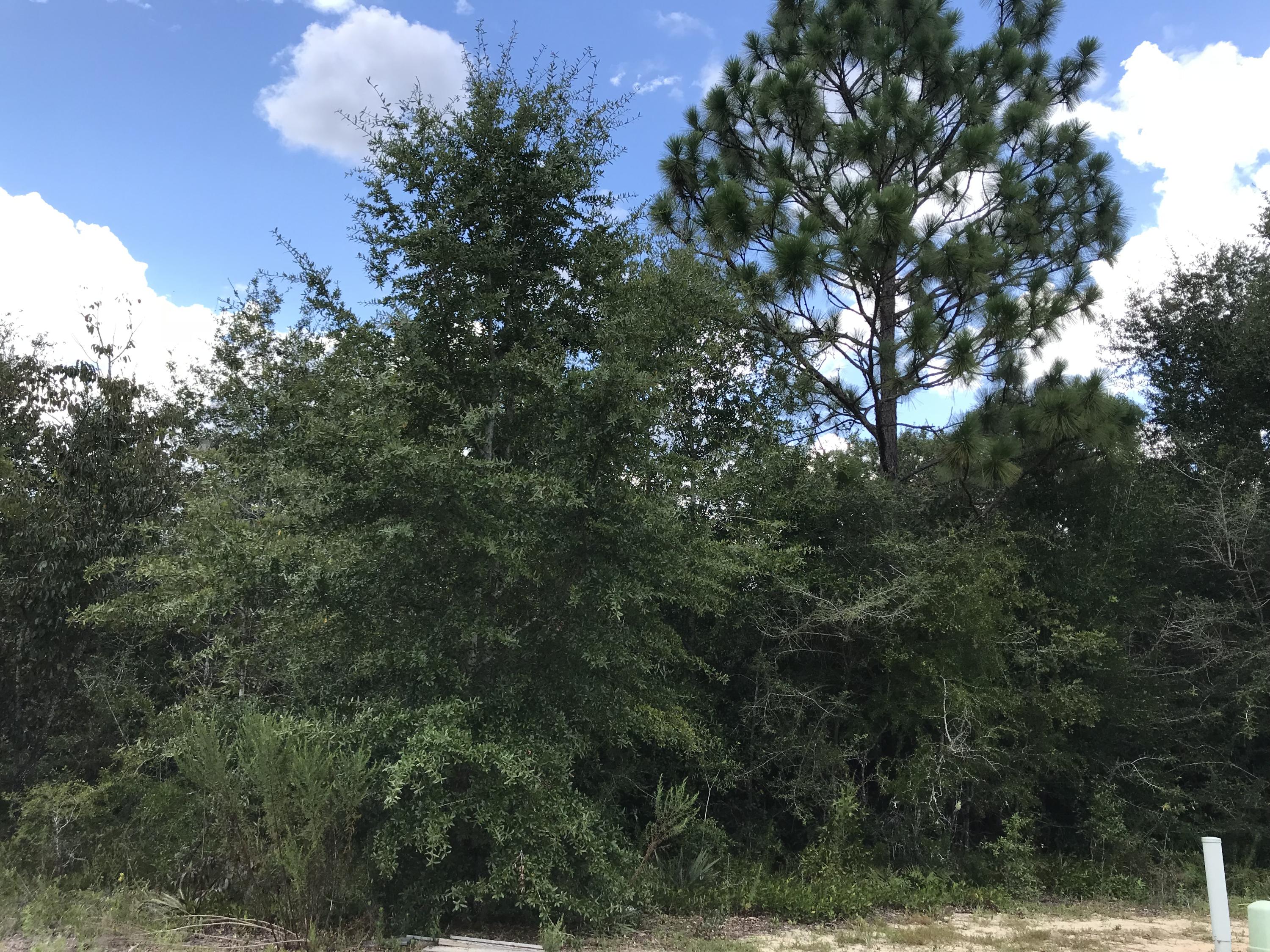 LAKE ARTHUR ESTATES - Land