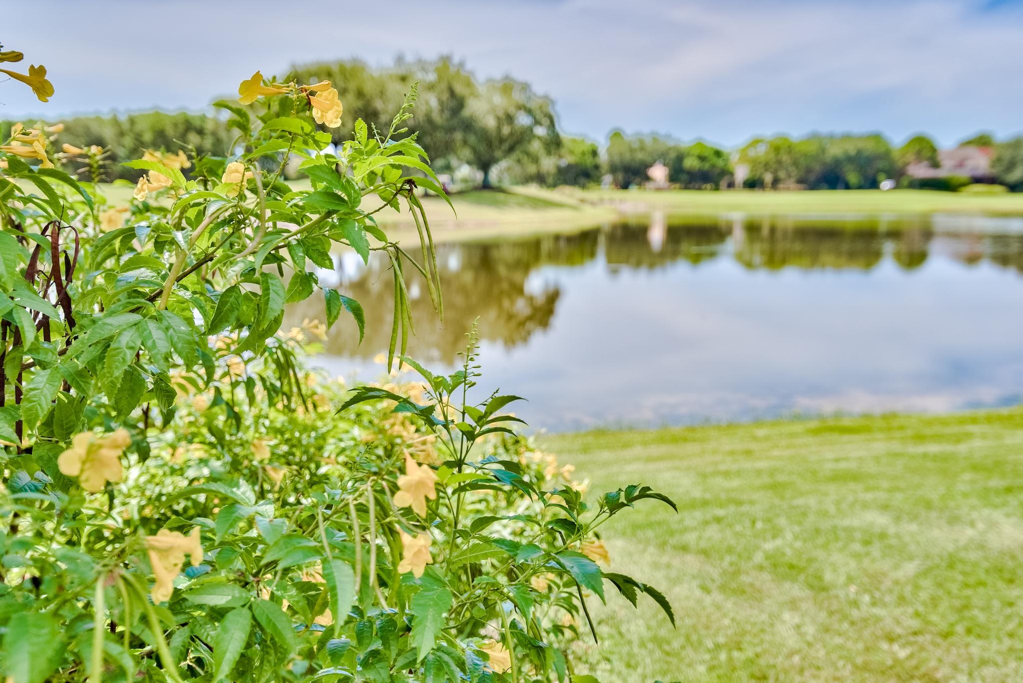Kelly Plantation - Residential
