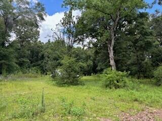 LAKEWOOD PLANTATIONS - Land