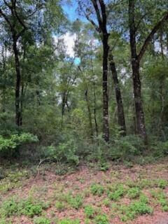 LAKEWOOD PLANTATIONS - Land