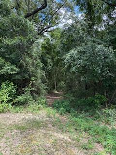 LAKEWOOD PLANTATIONS - Land