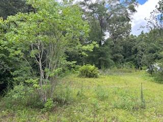 LAKEWOOD PLANTATIONS - Land