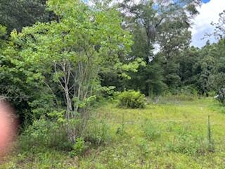 LAKEWOOD PLANTATIONS - Land