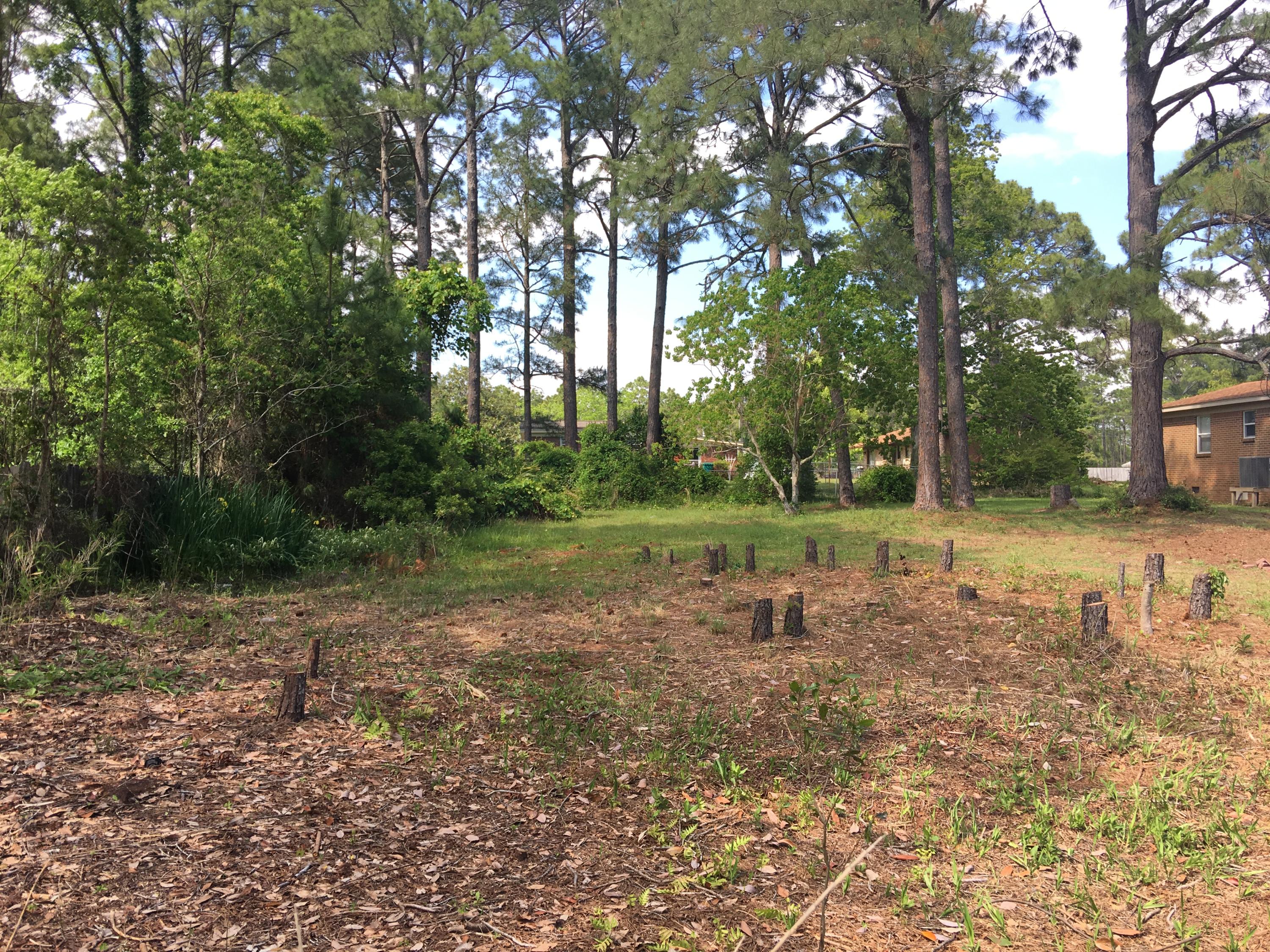 WYNNEHAVEN BEACH ESTATES - Land