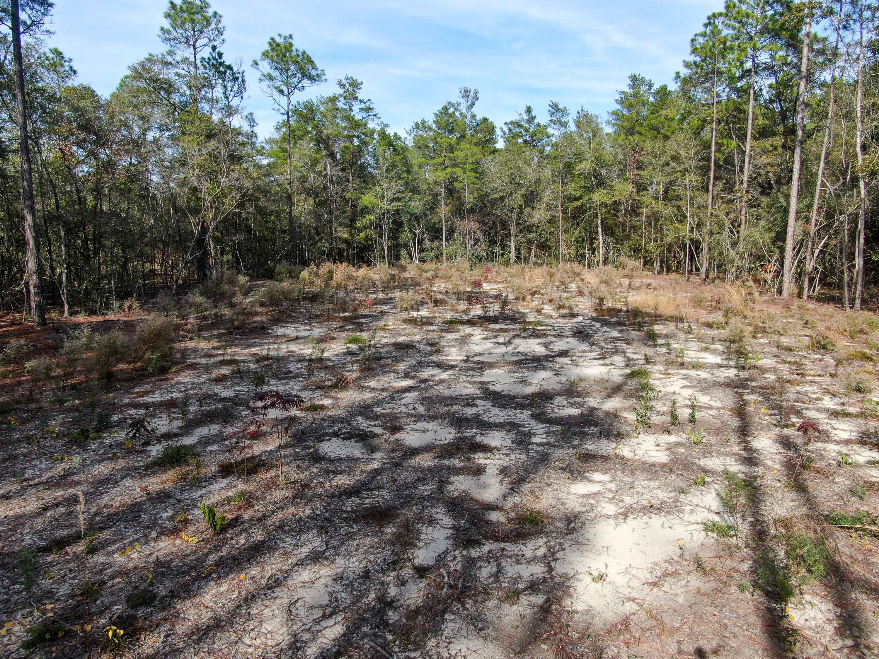 WILDWOOD LAKES - Land