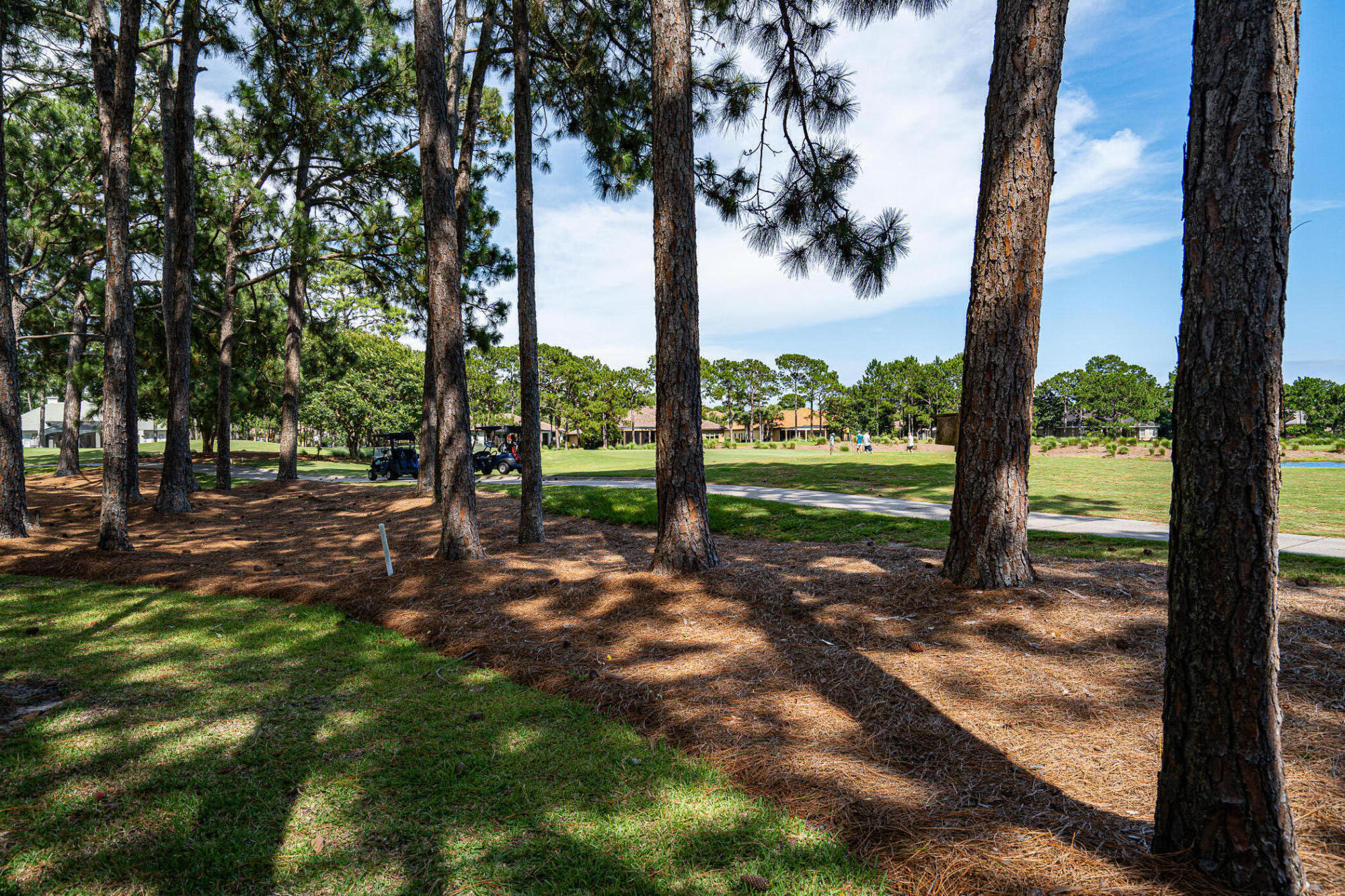 SANDESTIN GOLF & BEACH RESORT - Residential