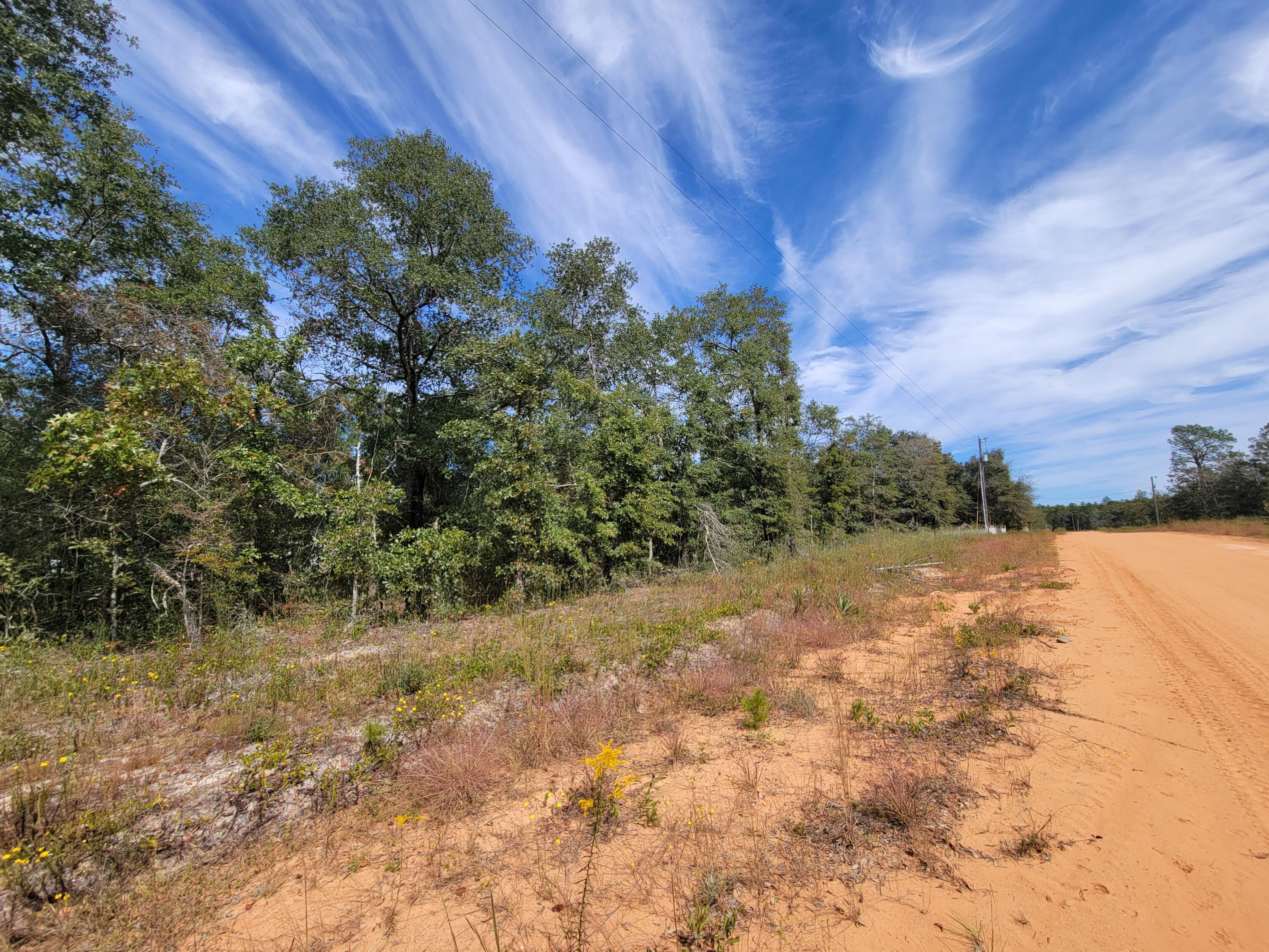 Nice level lot with lots of small oaks and mixed hardwood trees.  You can build your new home or place your manufactured home. Mossy Head Water is available on the street, fire hydrant just past the lots.  Call the Mossy Head Water Dept. for costs and fees to have water run to the lot. 
I-10 Exit at Mossy Head is appx. 7 miles west of the property.  Once you turn onto Hwy 285 S.  follow appx 12 miles to the short cut road to the Mid-Bay Bridge and South Walton beaches.   Other lots may be available on this street.