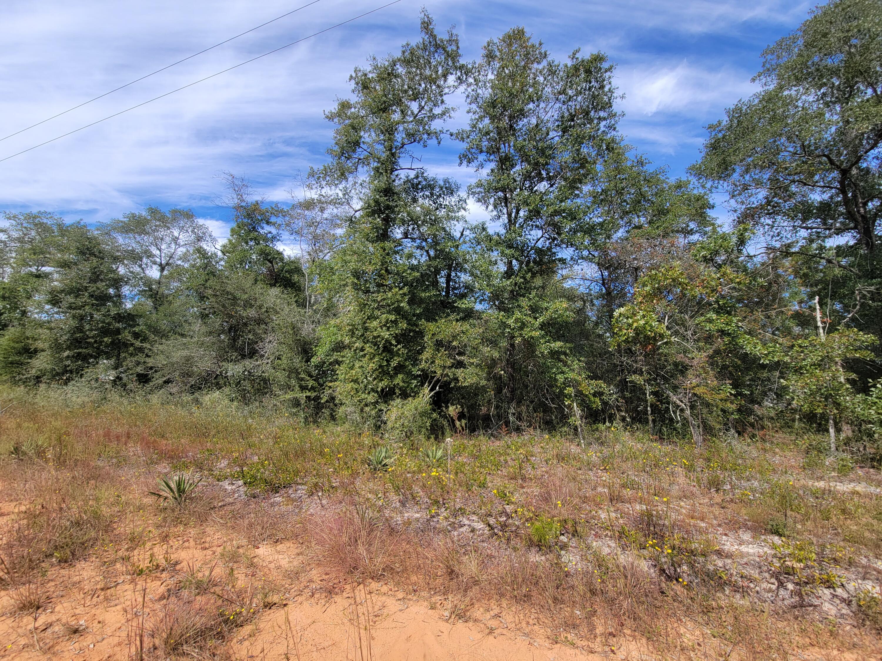 OAKWOOD HILLS UNIT 1 - Land