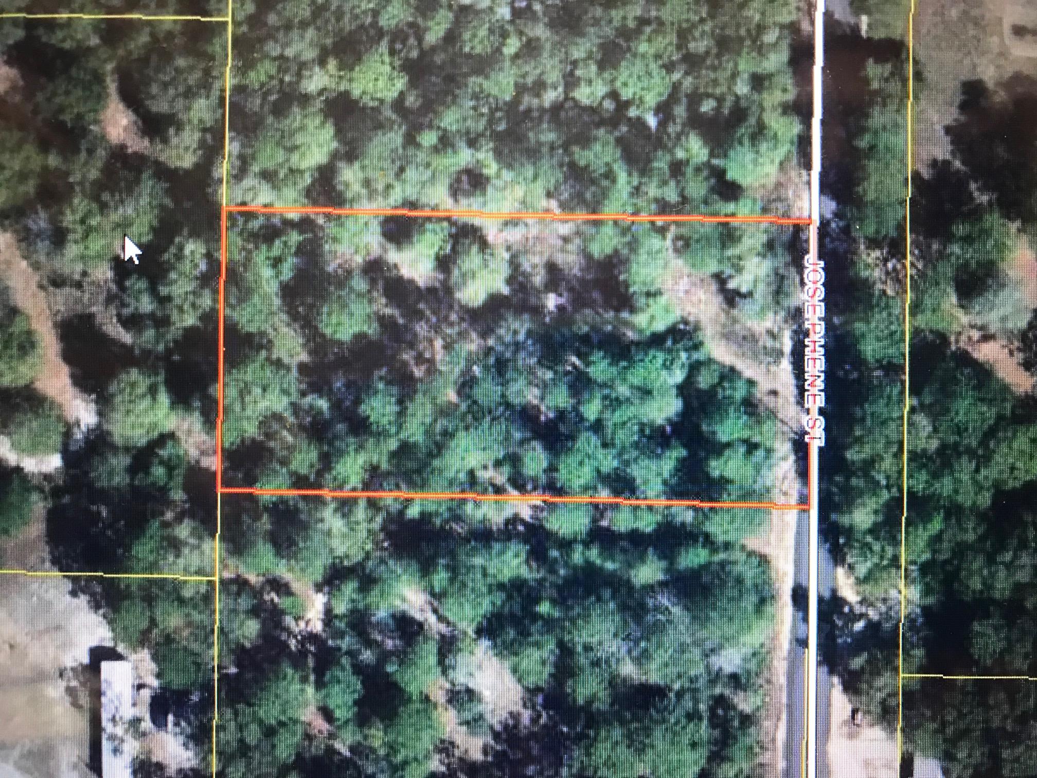PLANTATIONS THE - Land