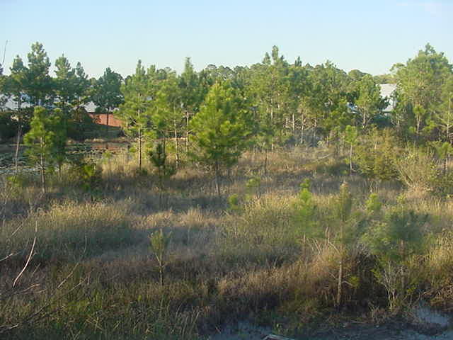 EAGLE BAY - Residential