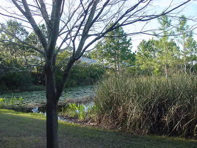 EAGLE BAY - Residential