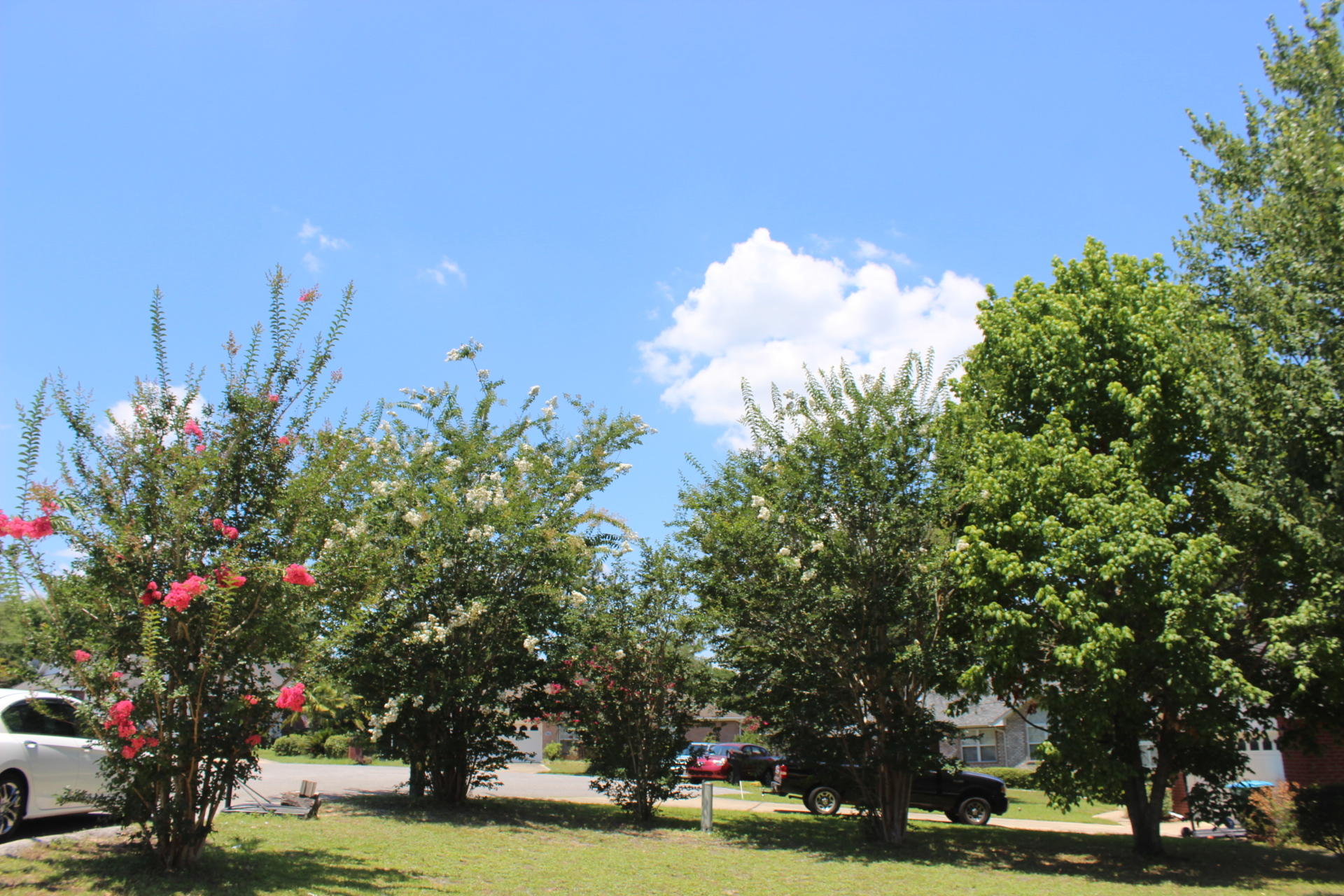 STEEPLECHASE PH 3 - Residential Lease