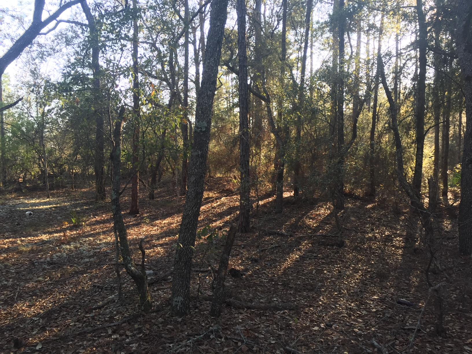 black creek - Land