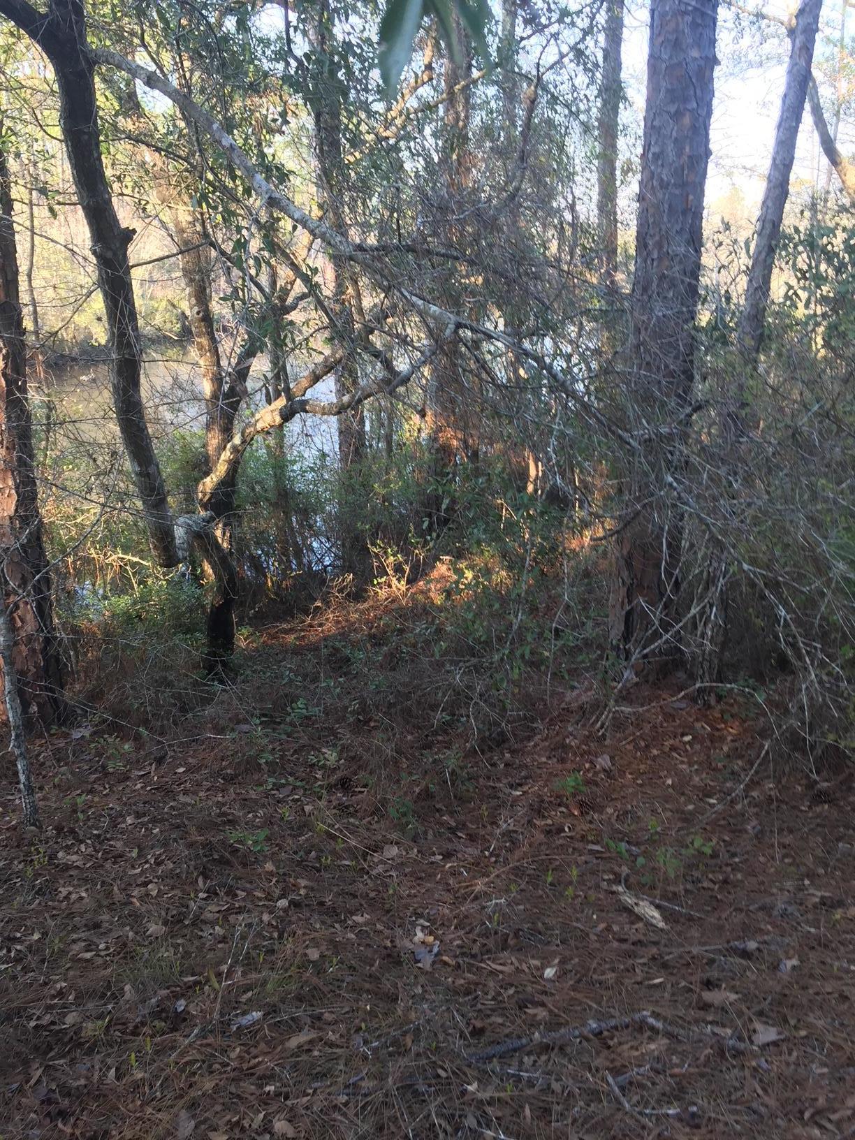 black creek - Land