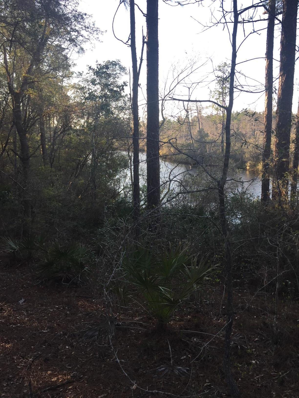 black creek - Land