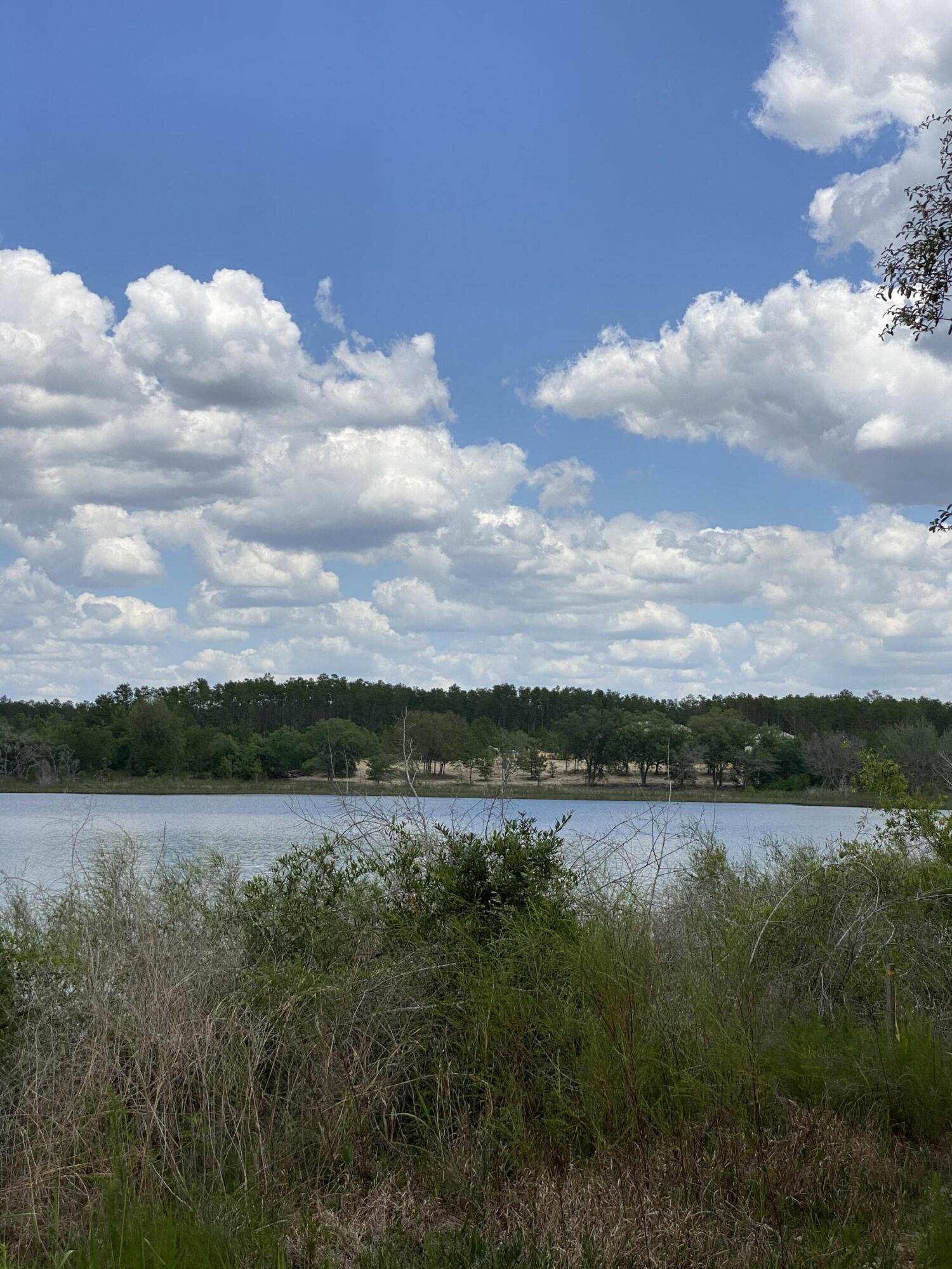 Bream Pond - Land