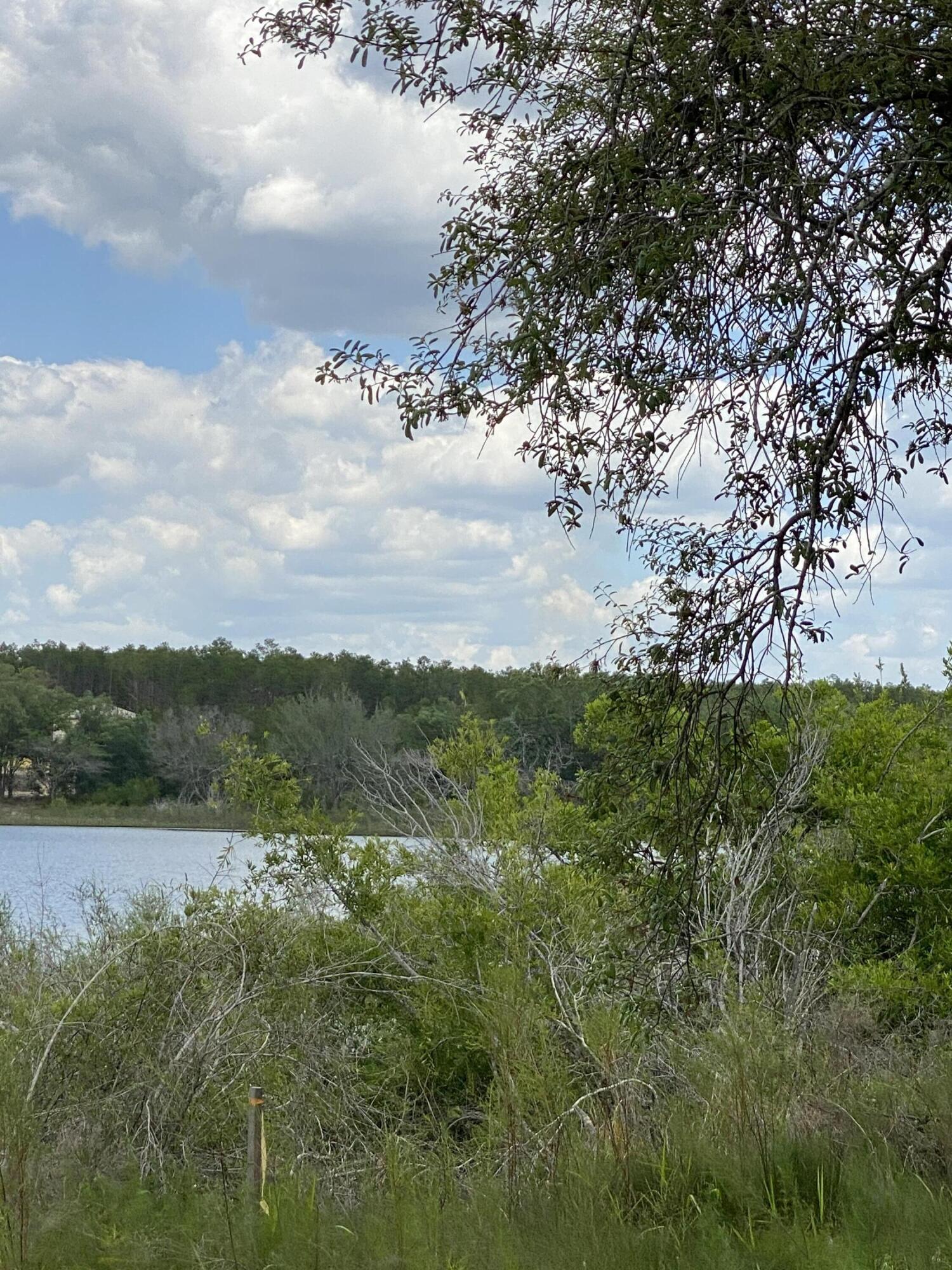 Bream Pond - Land