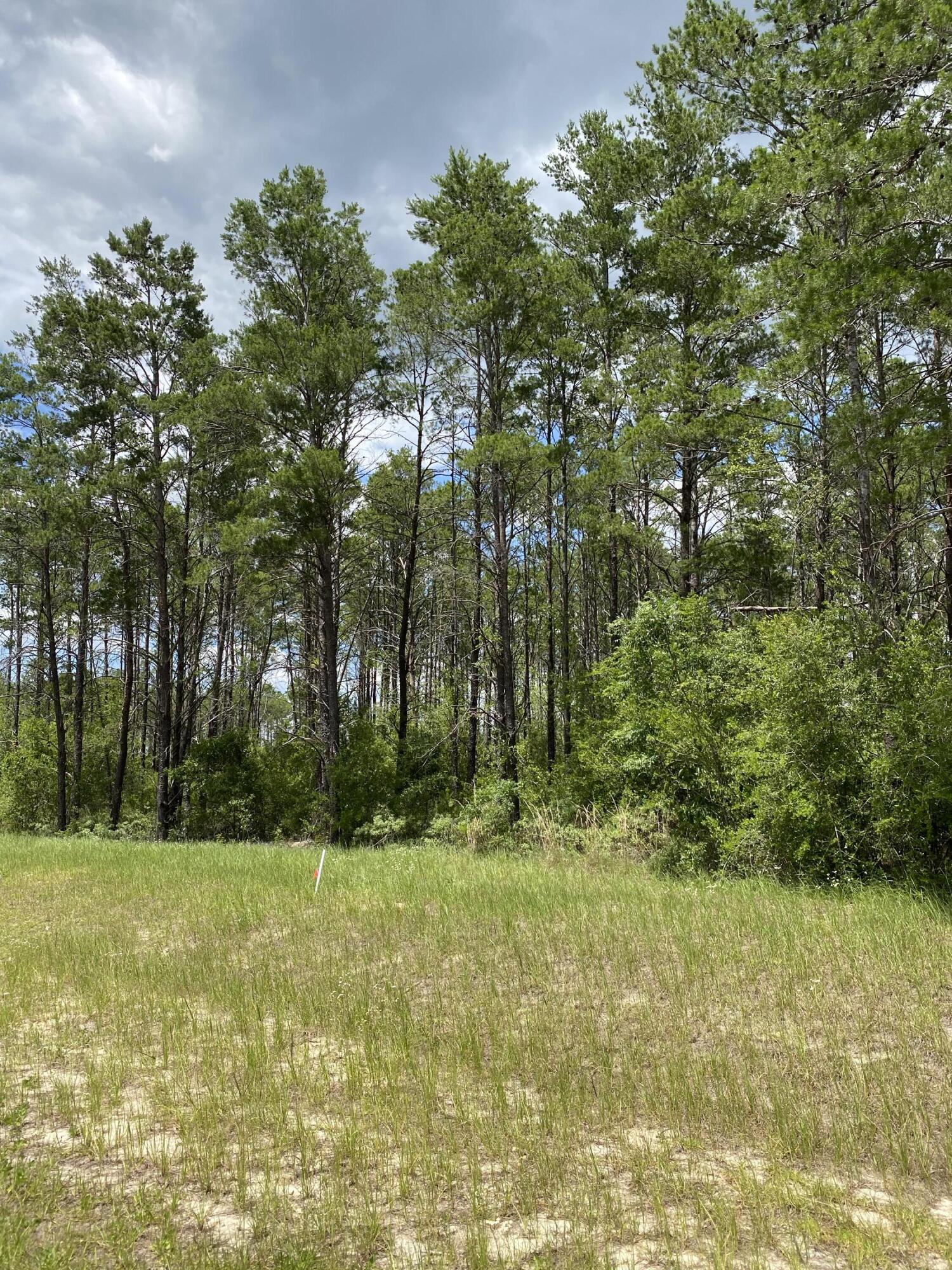Bream Pond - Land