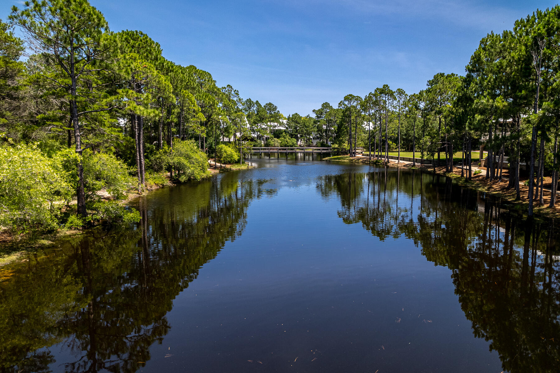 FOREST LAKES PH II - Residential