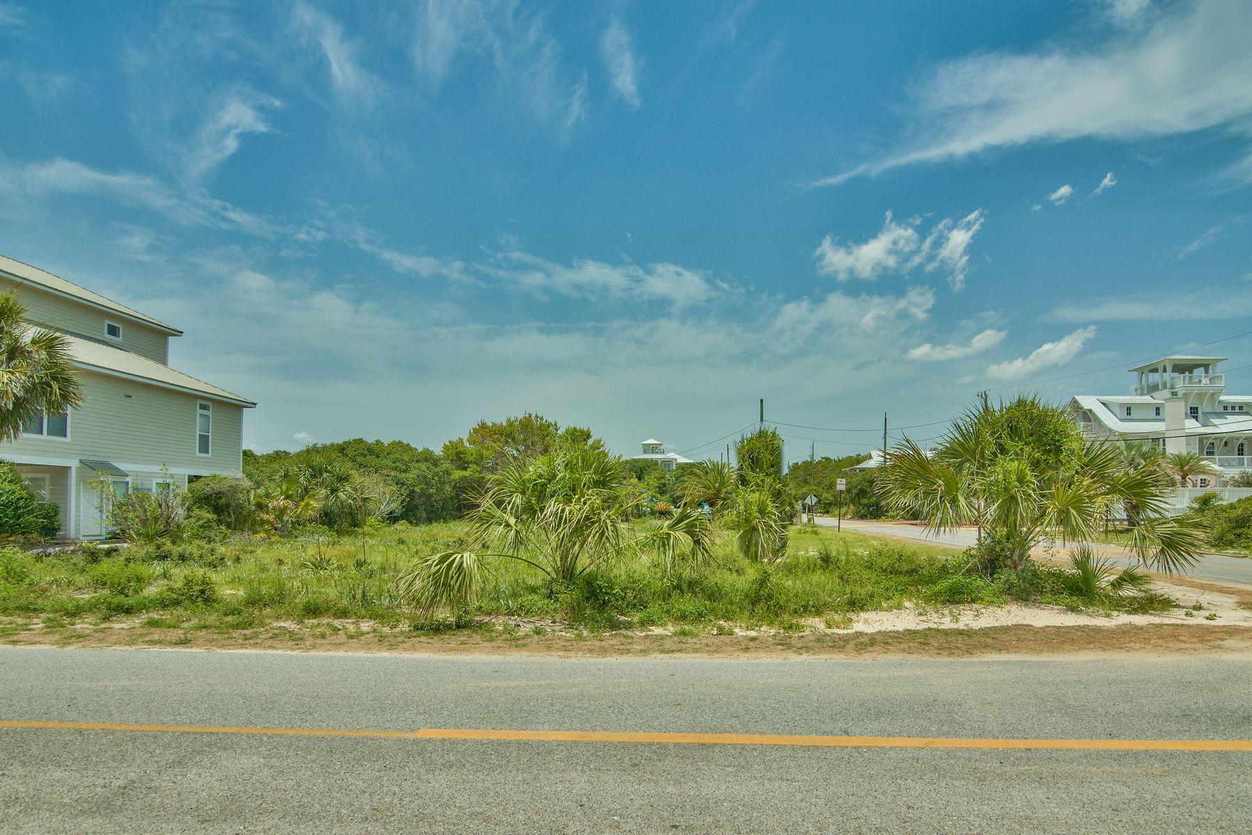 INLET BEACH - Land