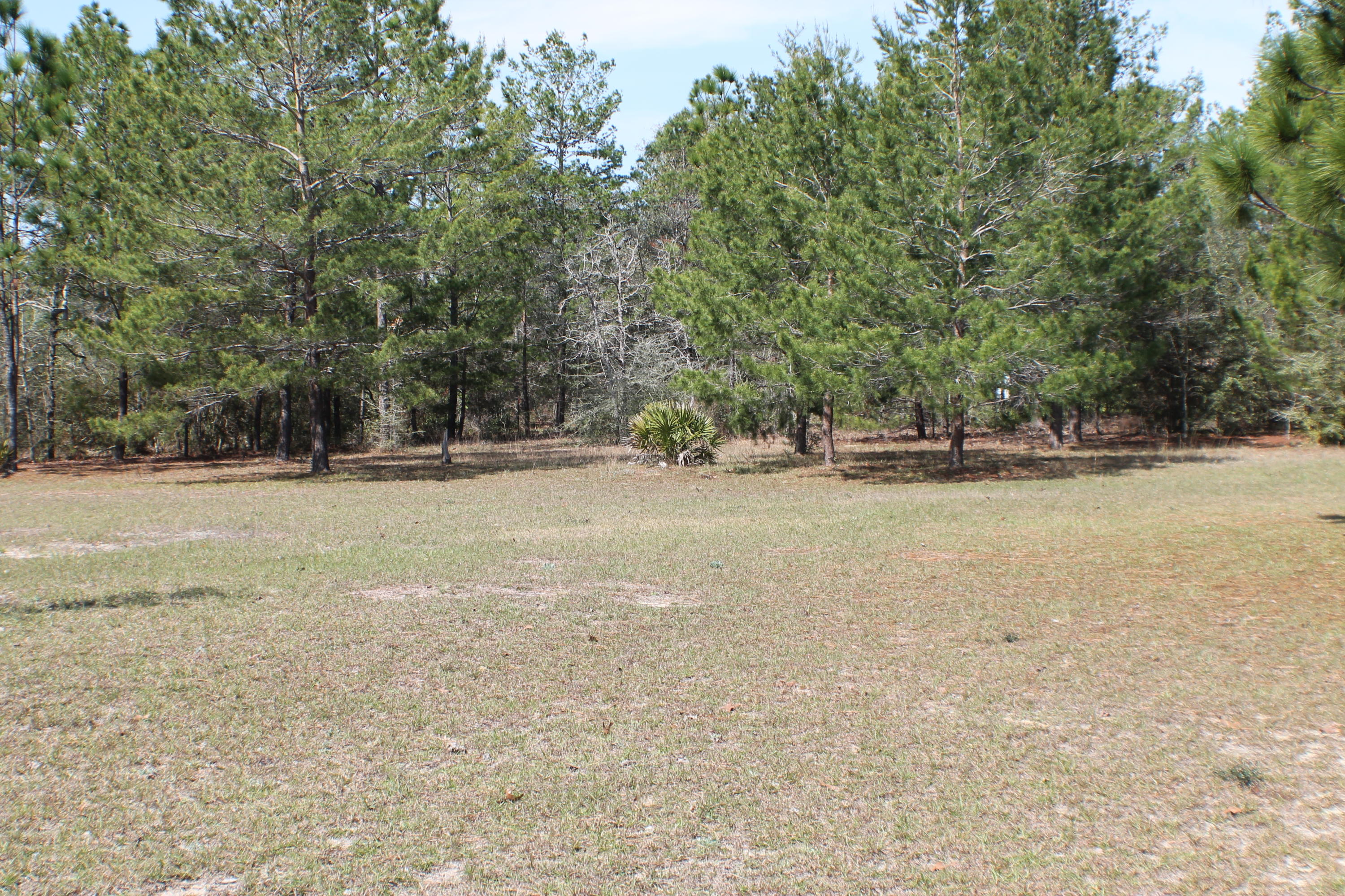 MT OLIVE ESTATES - Residential Lease