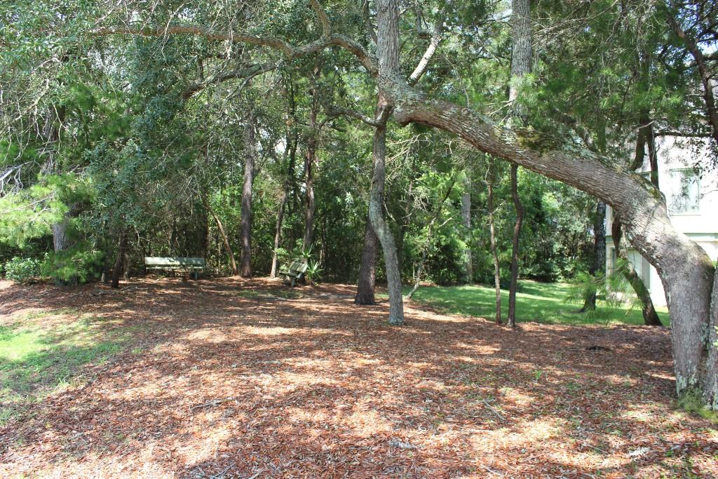 GARDEN OAKS CONDO - Residential Lease