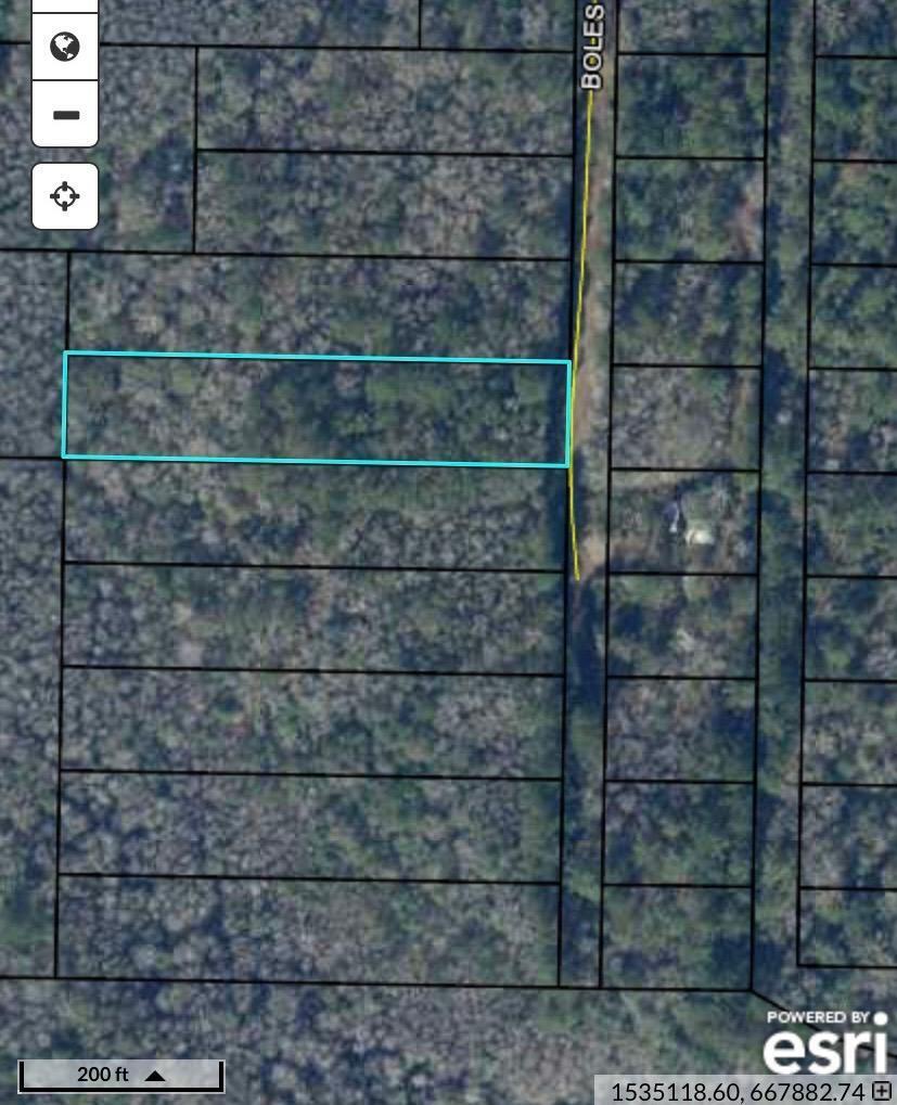 Cerro Gordo - Land
