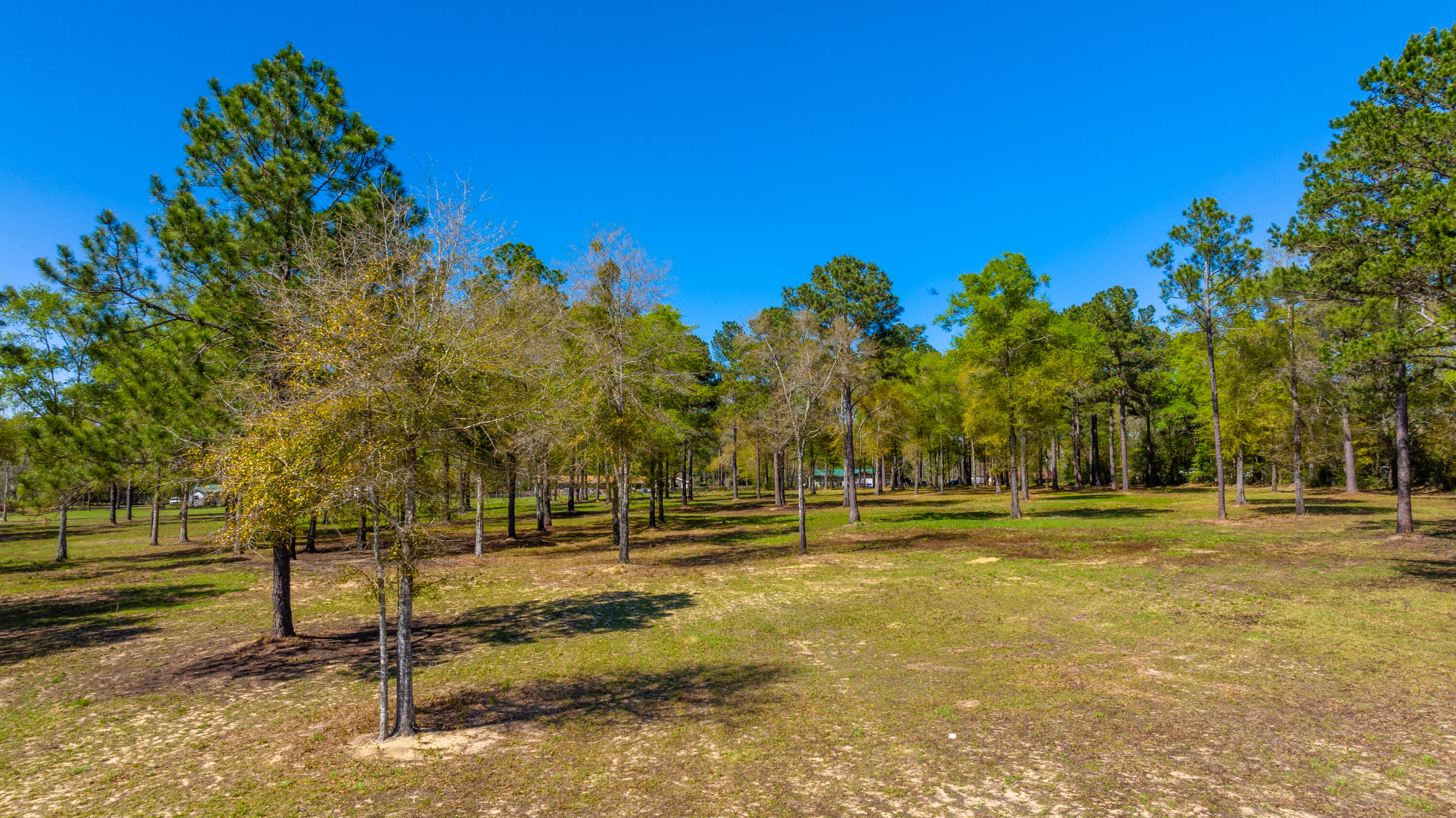 Located in the city limits of Paxton this 20 acres offers many opportunities for the buyer. Paved road frontage along with City water available.  Property has been well maintained and is move to ready! Nice small pond situated on it as well. 
Great chance to build your dream home in the city with land or hold for development purpose investment!