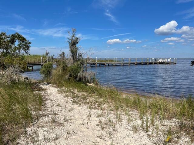 BAY MAGNOLIA - Land