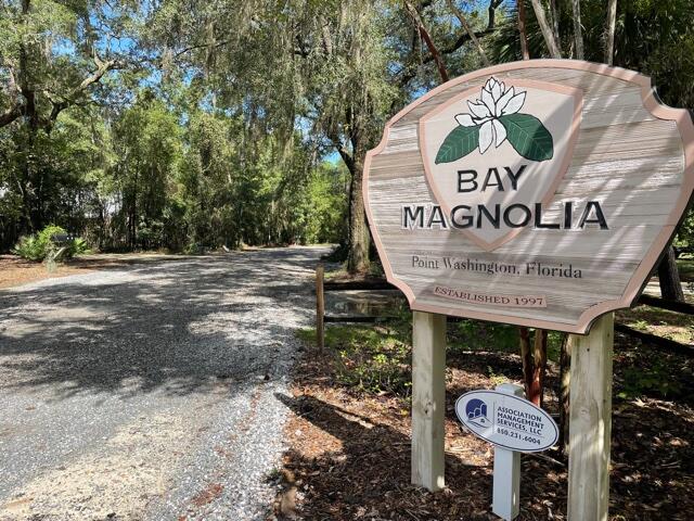 BAY MAGNOLIA - Land