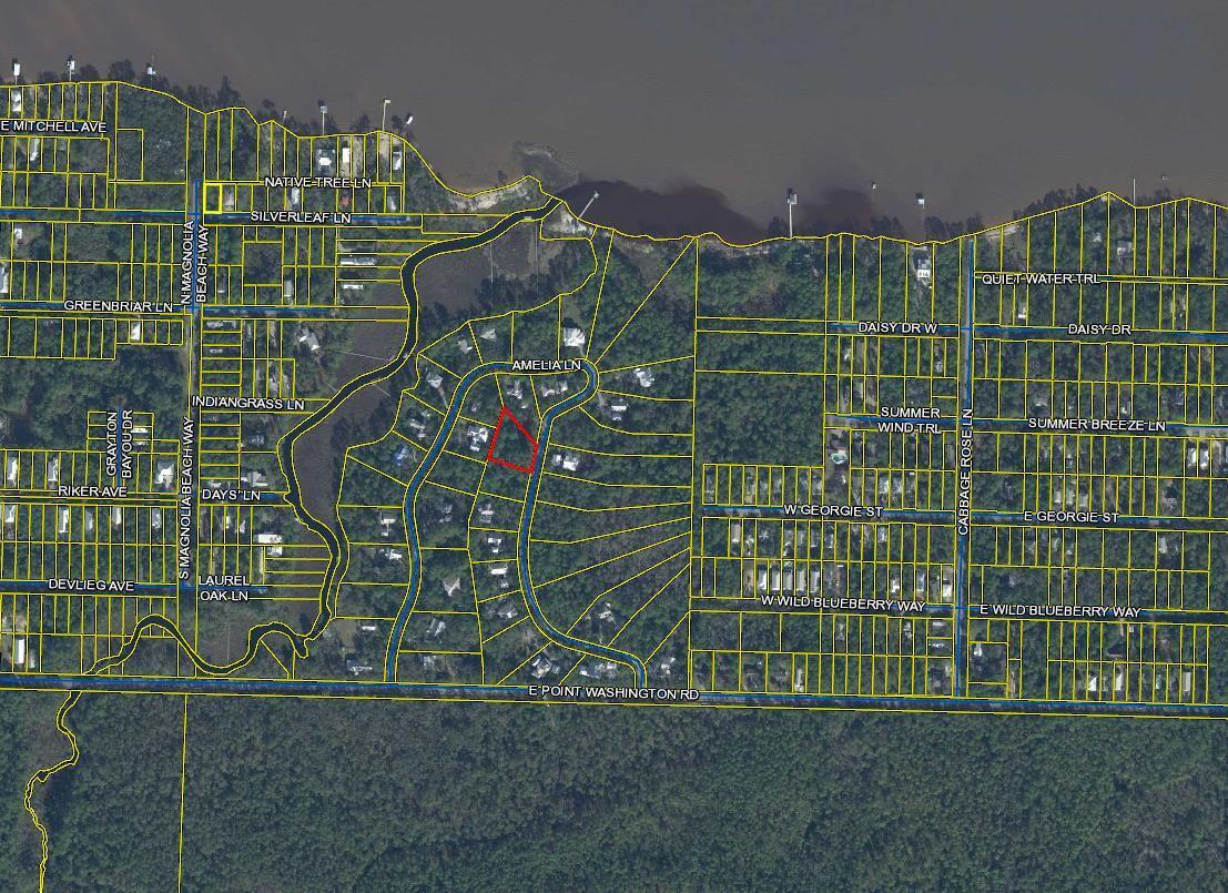 BAY MAGNOLIA - Land