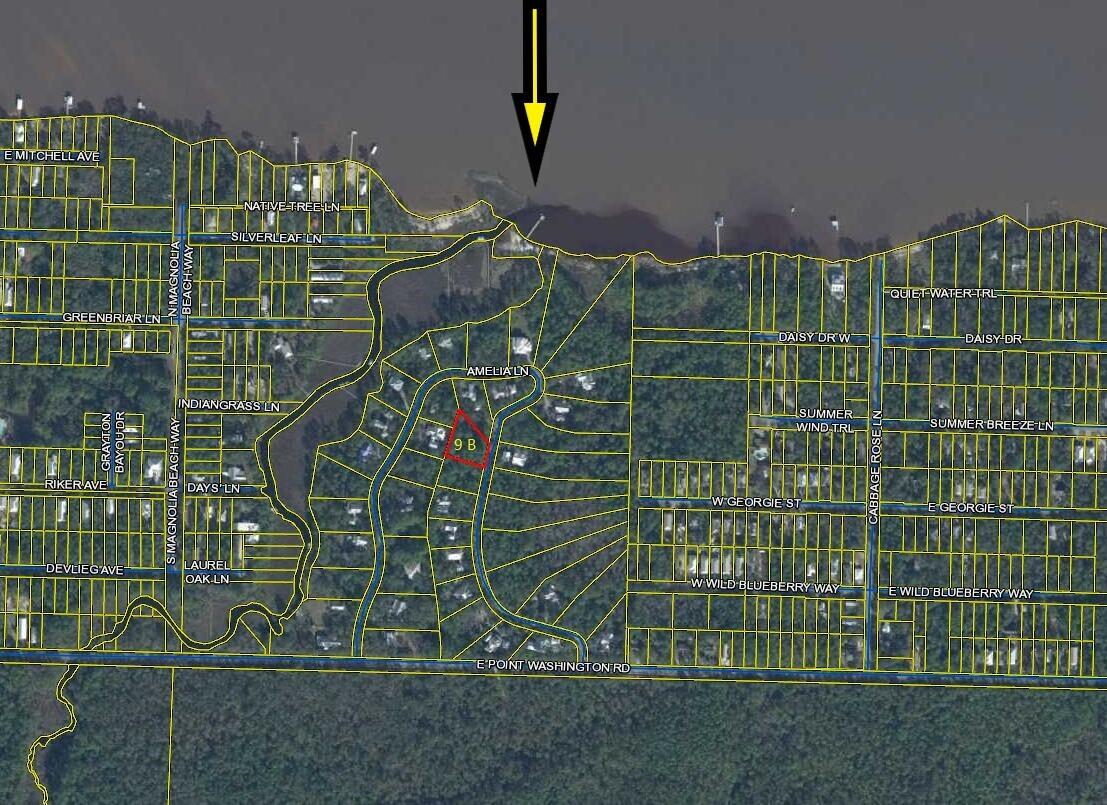 BAY MAGNOLIA - Land