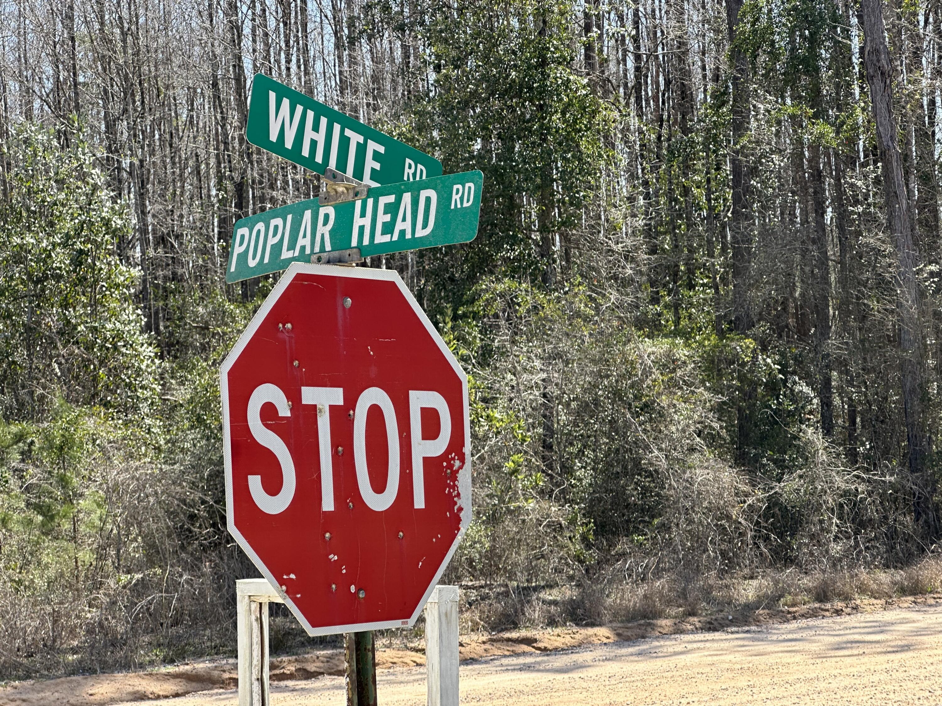 Dream Location for Country Living or Hunters Paradise either way you won't want to miss this opportunity! This Beautiful 74.25 +/- Acres of prime land on a corner lot on Dirt rd  White RD. and open creek Rd. Power may be available from white rd. Bring your build plans, hunting gear, Horses and ATVS LOCATION LOCATION!!!! This Property has Easy Access to Panama City Beaches I-10, Hwy 79, Hwy 81, and Hwy 90.