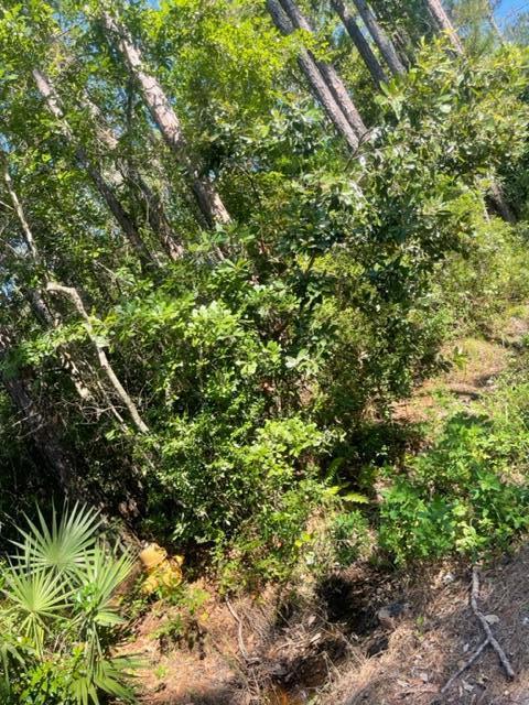 NO RECORDED SUBDIVISION - Land