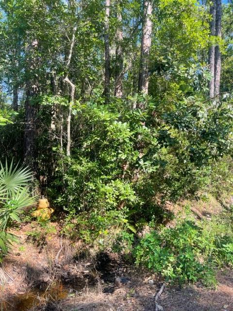 NO RECORDED SUBDIVISION - Land