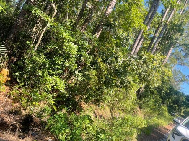 NO RECORDED SUBDIVISION - Land